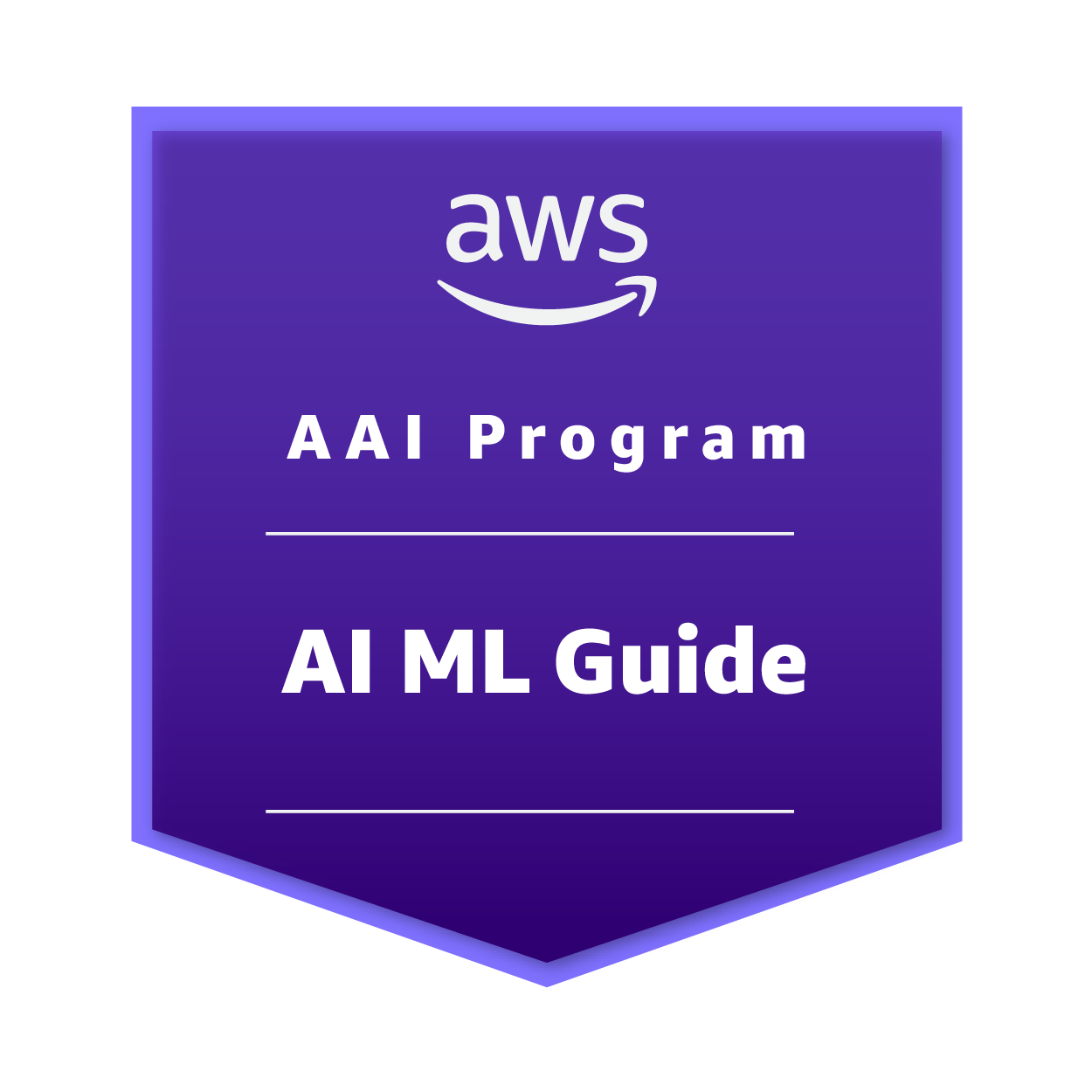 AI/ML Guide