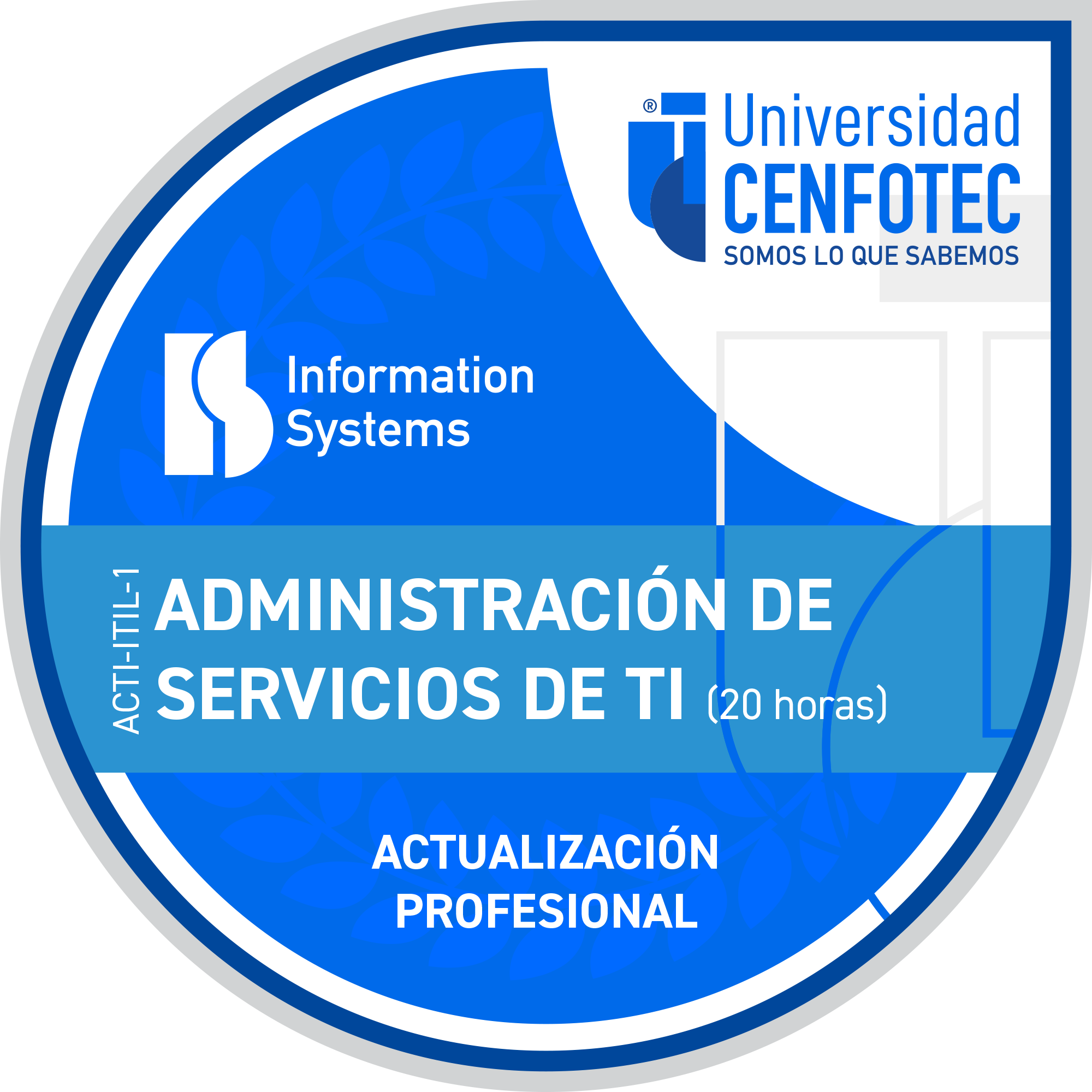 Administración de Servicios de TI (20 horas)