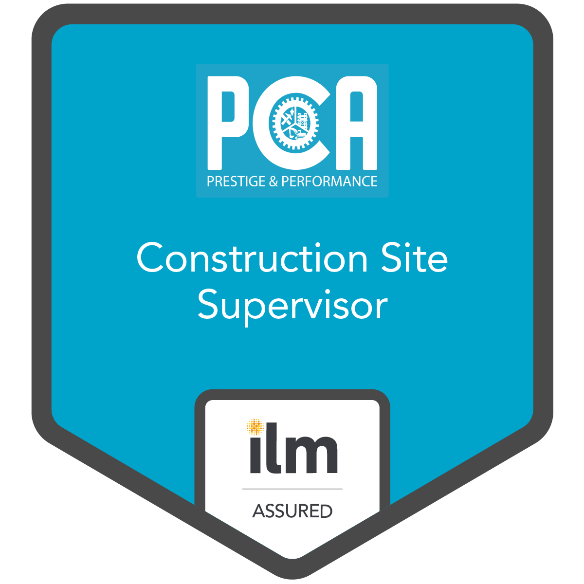 Construction Site Supervisor - Philippines Construction Association