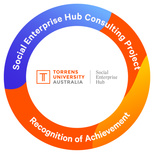 Social Enterprise Hub Consulting Project - Recognition of Achievement ...