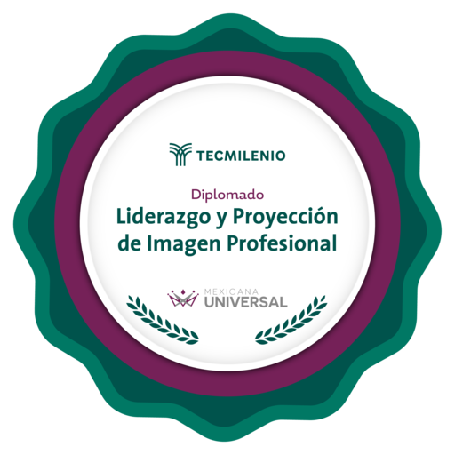 Liderazgo y Proyección de Imagen Profesional