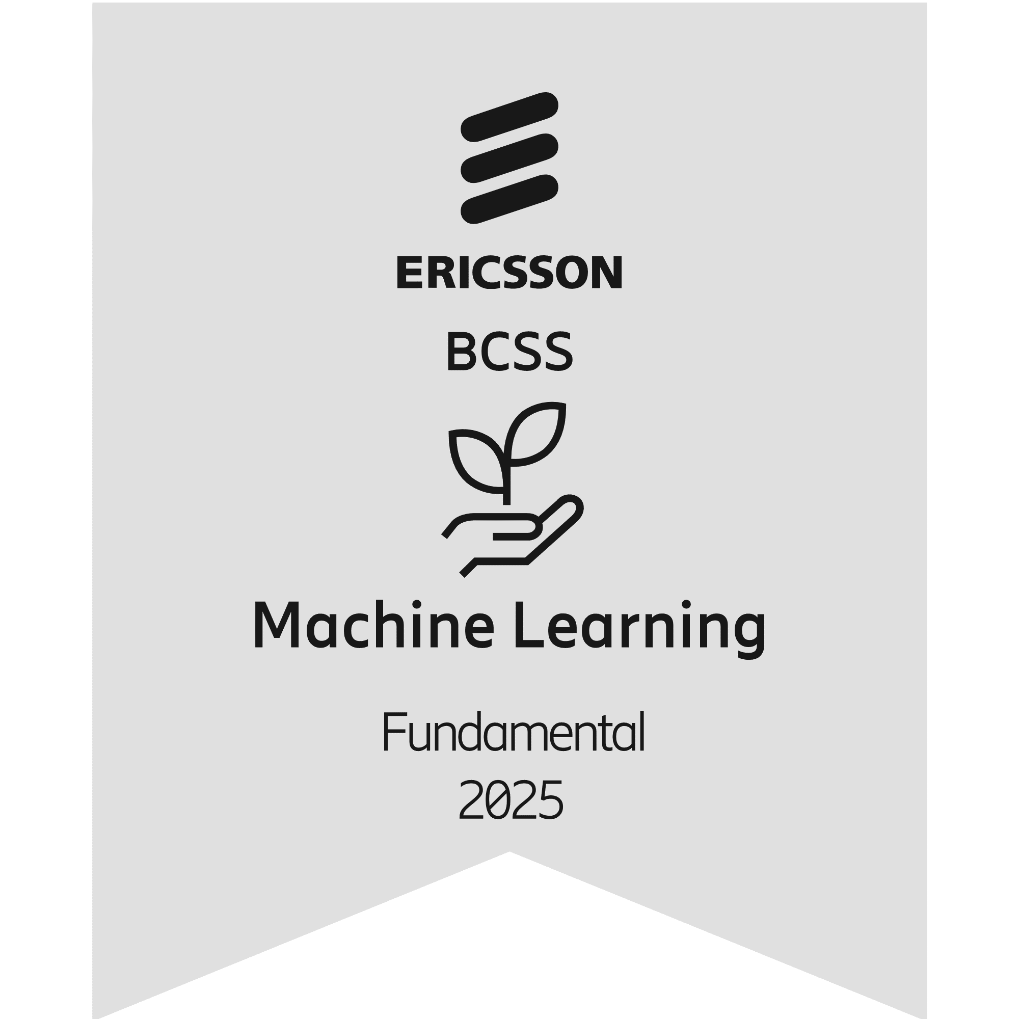 BCSS Machine Learning Fundamental Level 2025