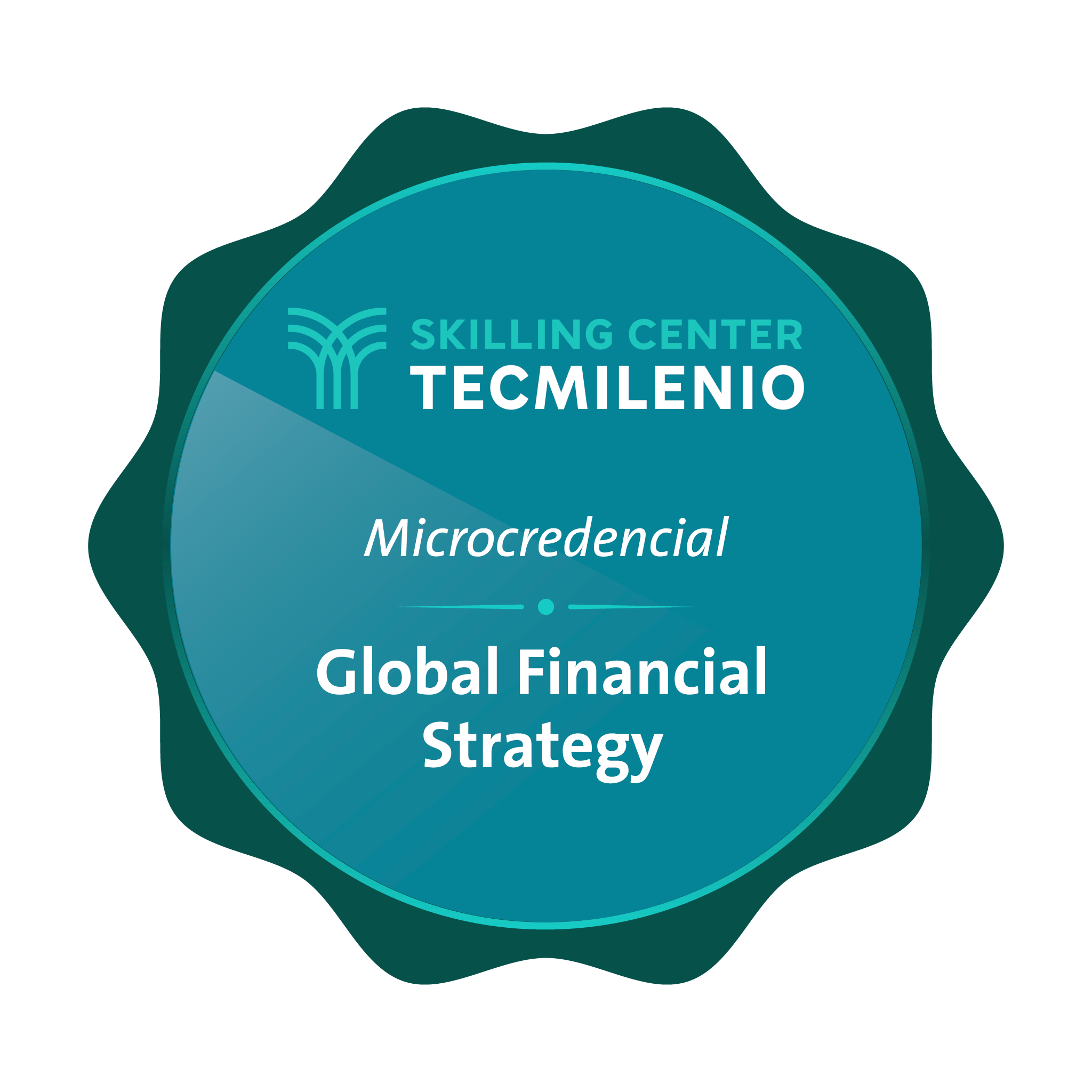 Microcredencial Global financial strategy