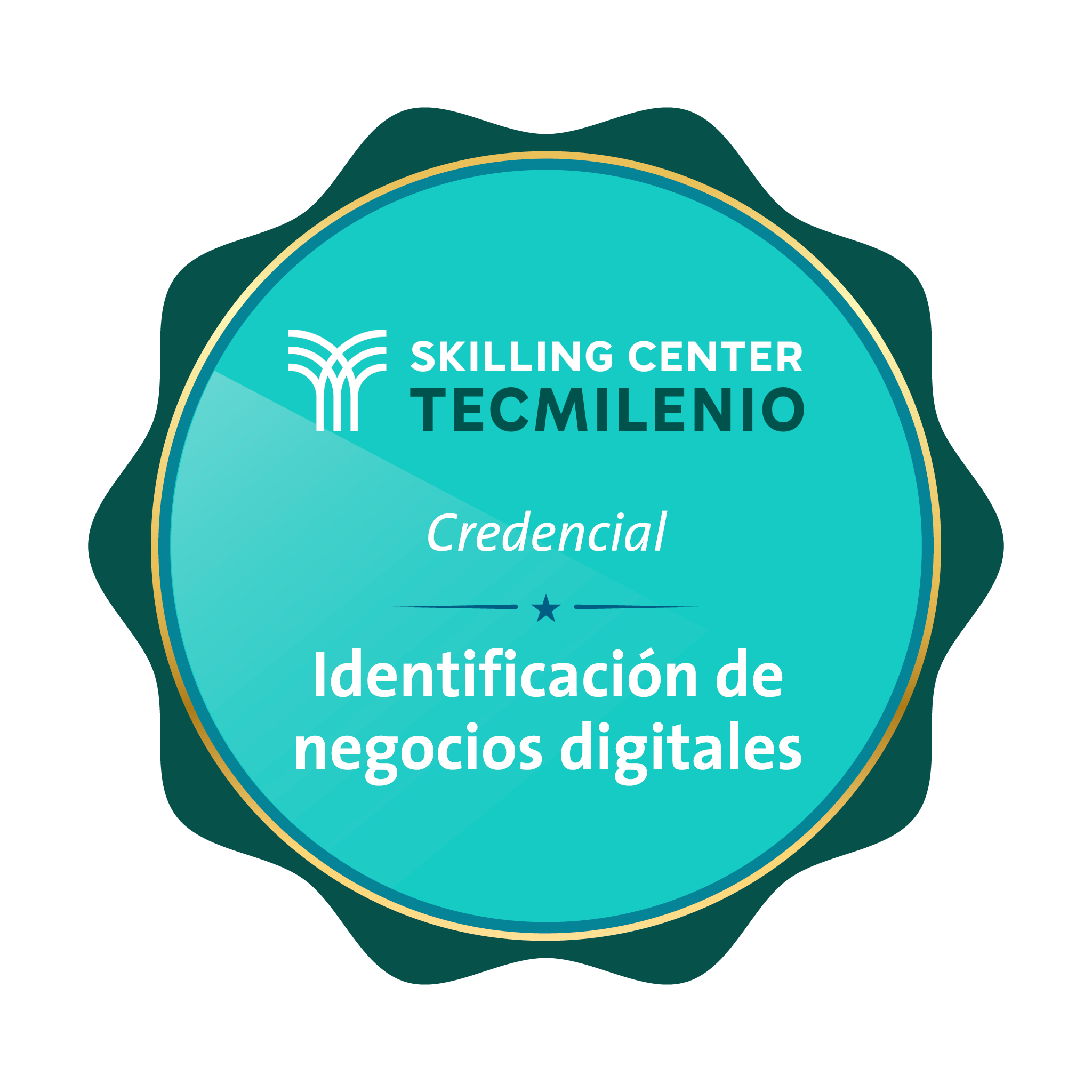 Credencial Identificación de negocios digitales