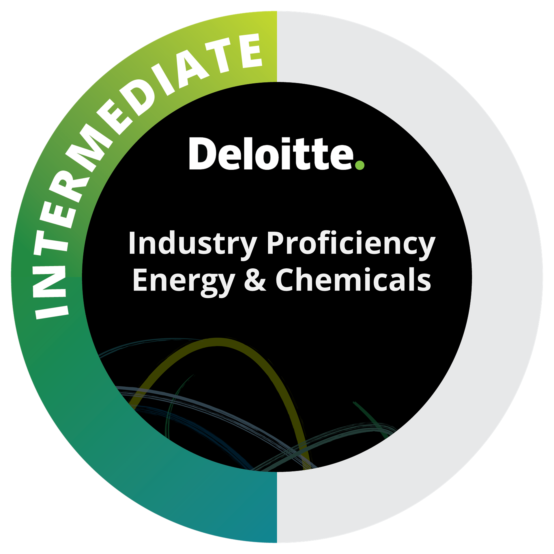 Industry Proficiency Intermediate: Energy & Chemicals