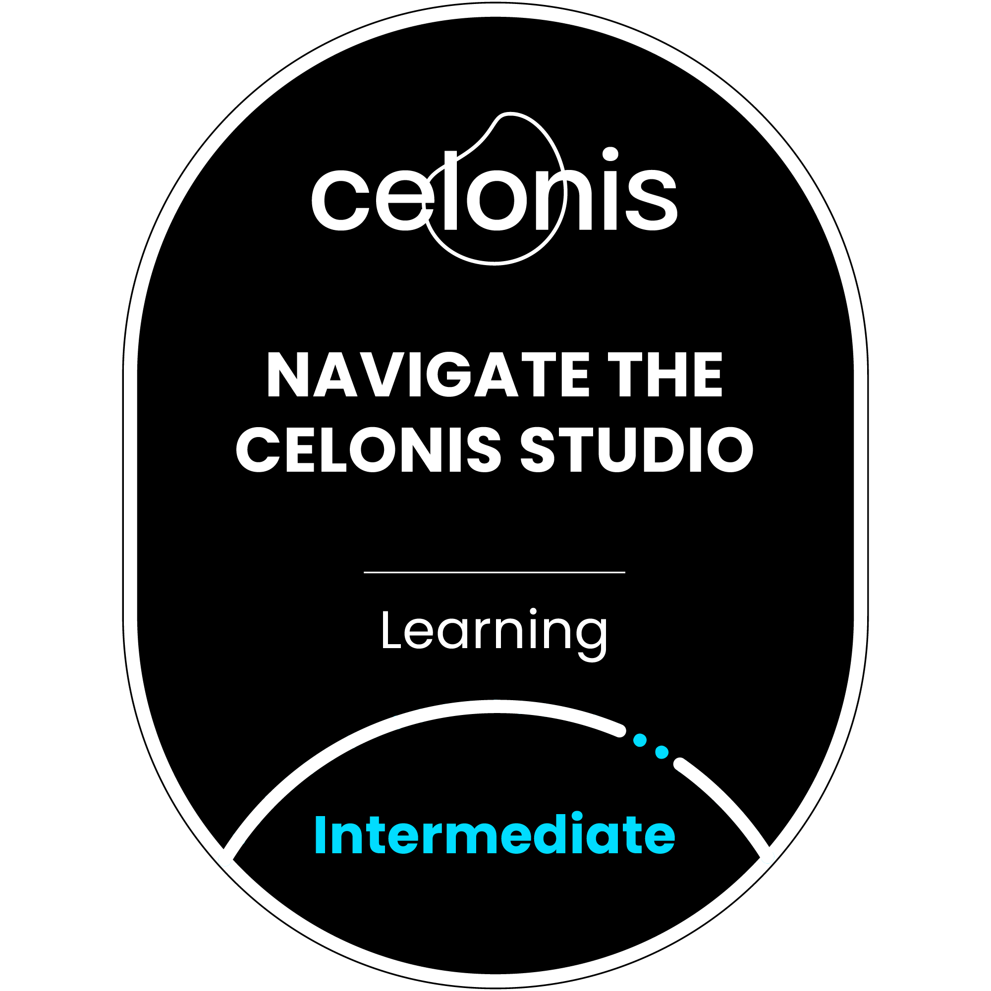 Navigate the Celonis Studio