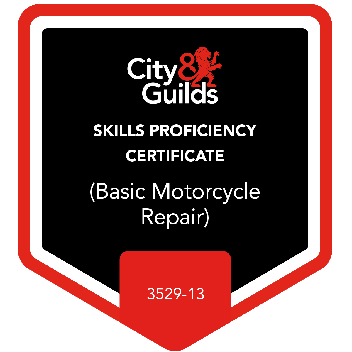 Skills Proficiency Certificate (Basic Motorcycle Repair) 3529-13