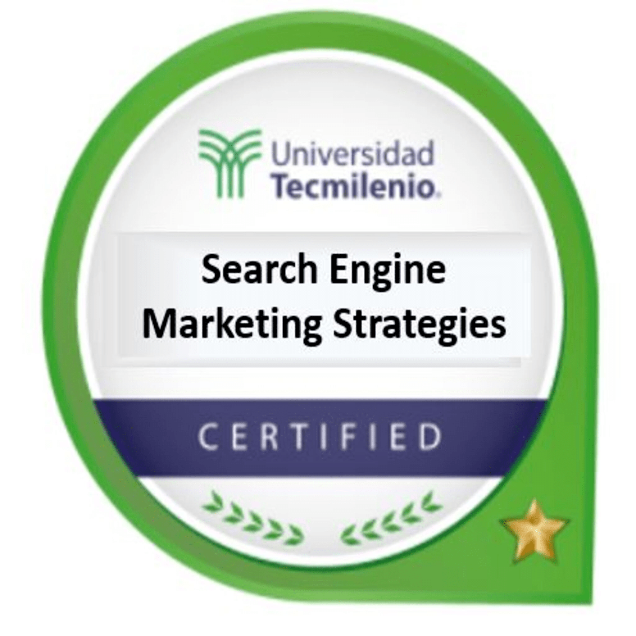 Search Engine Marketing Strategies