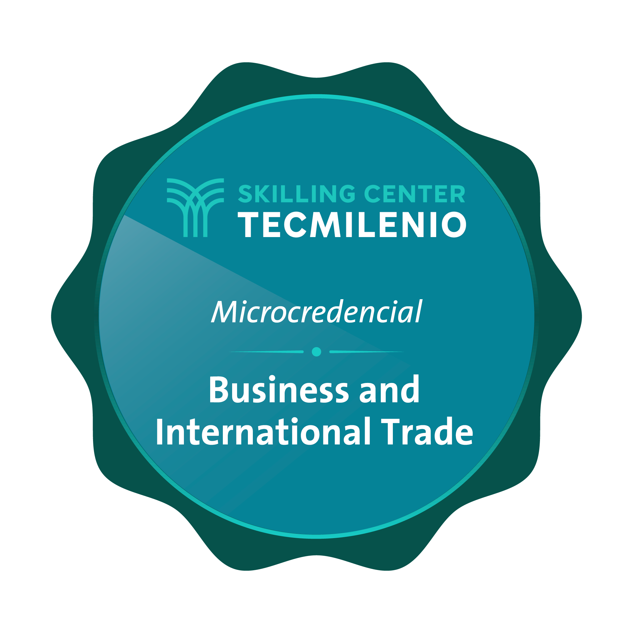 Microcredencial Business and international trade