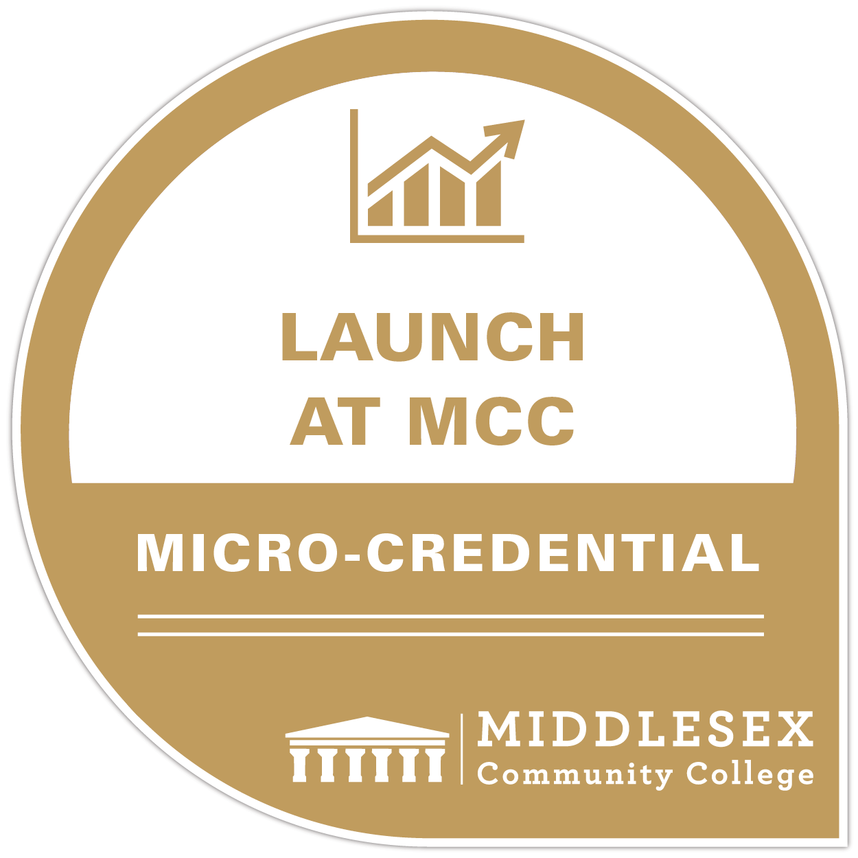 Entrepreneurship Micro-credential