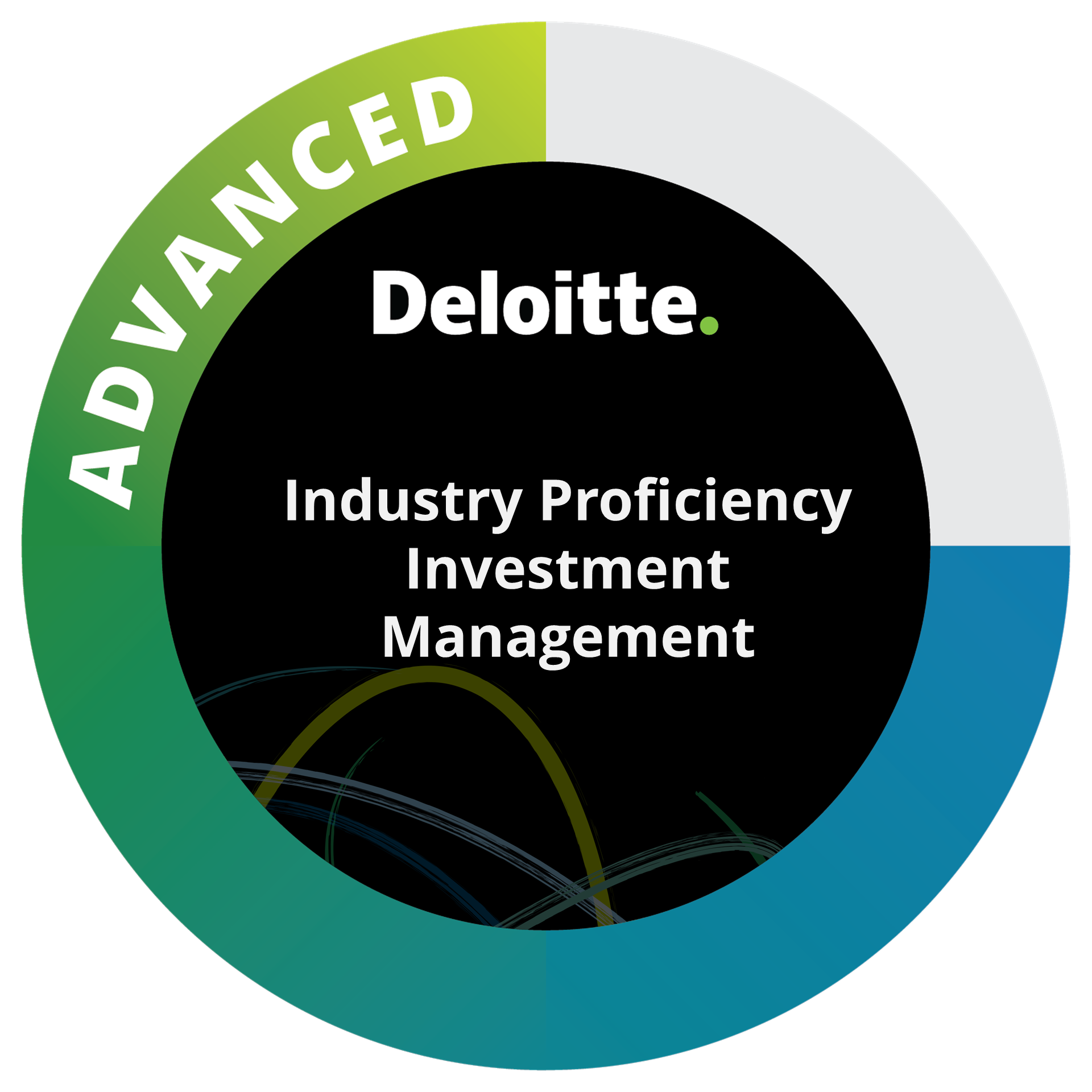 Industry Proficiency Advanced: Investment Management