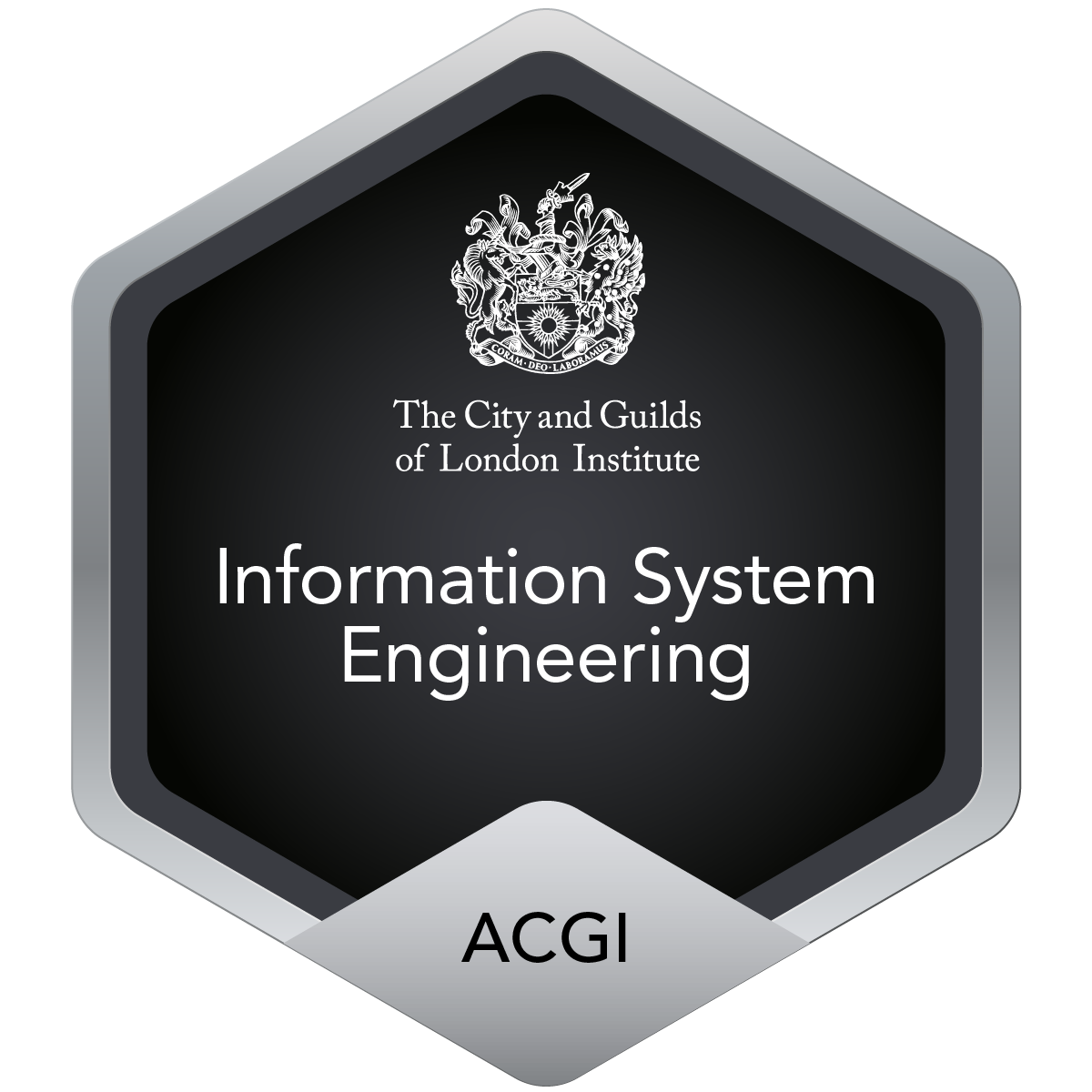 Associateship (ACGI) of the City and Guilds of London Institute - Information System Engineering