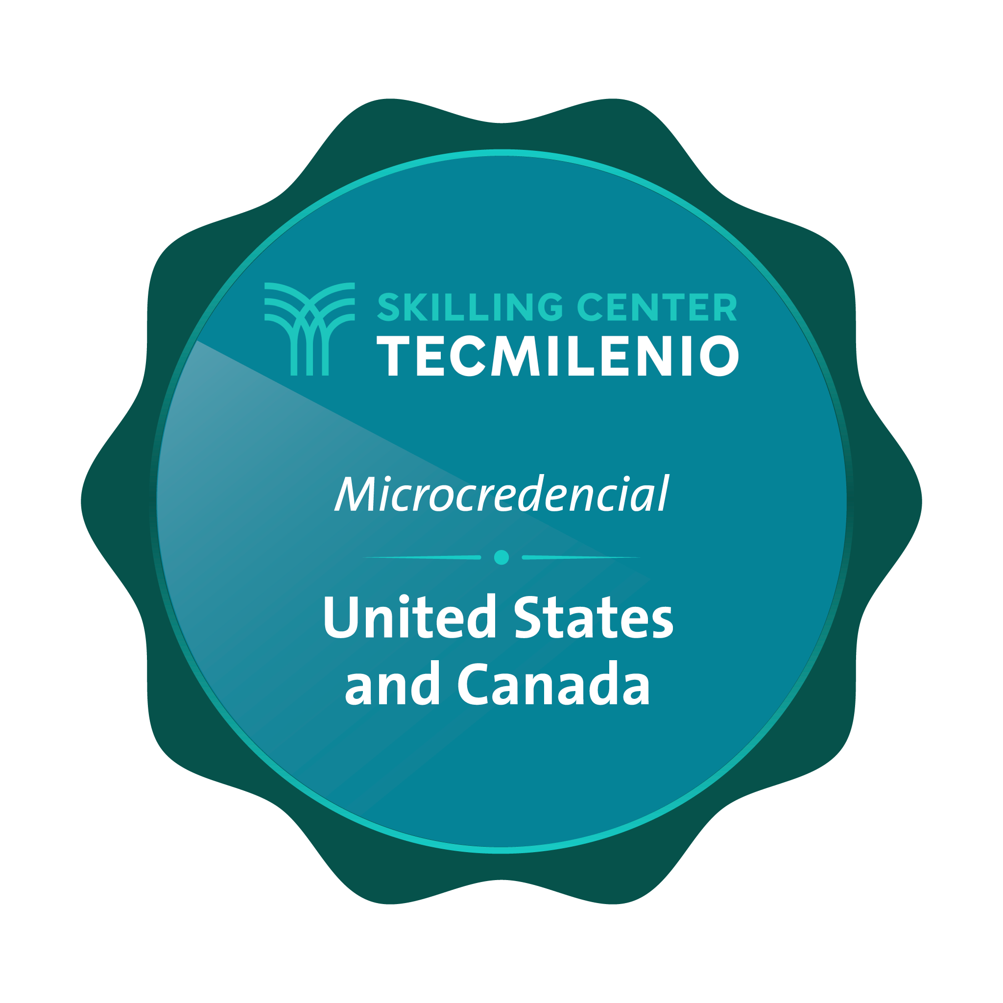 Microcredencial United States and Canada
