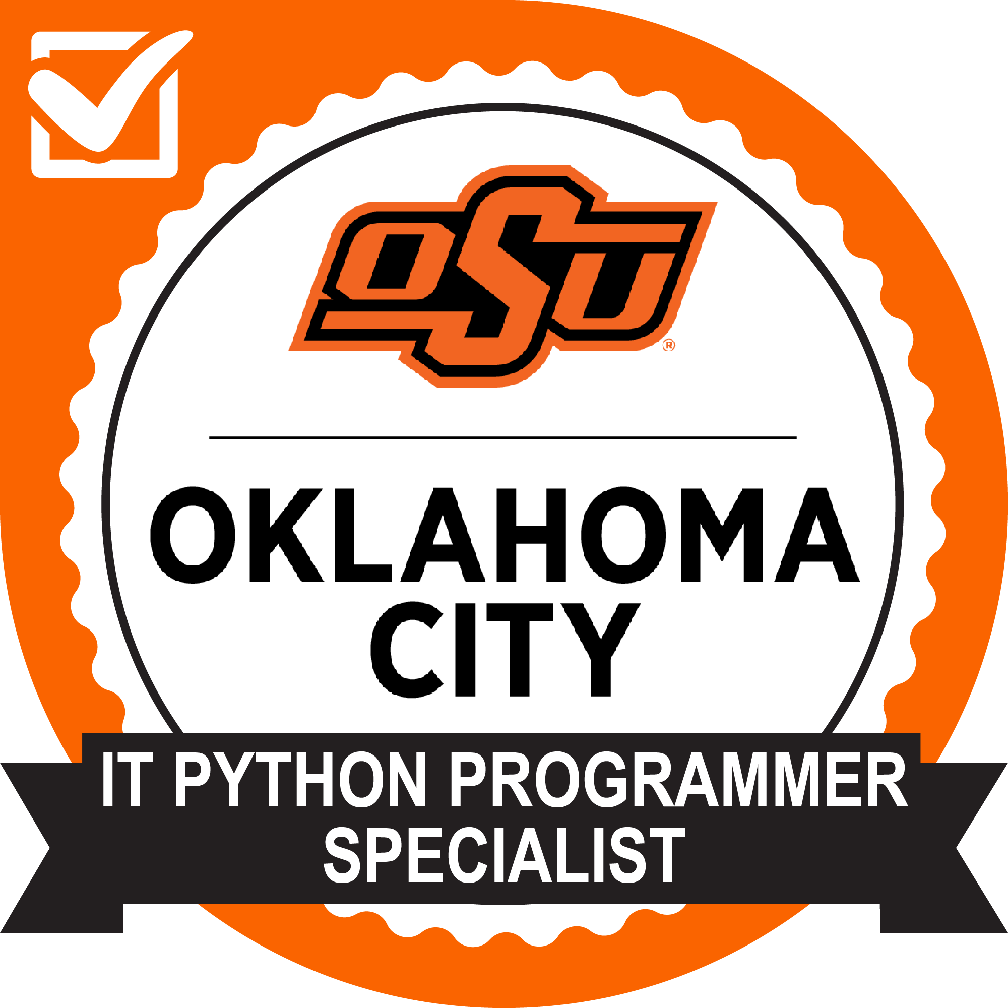 IT Python Programmer Specialist
