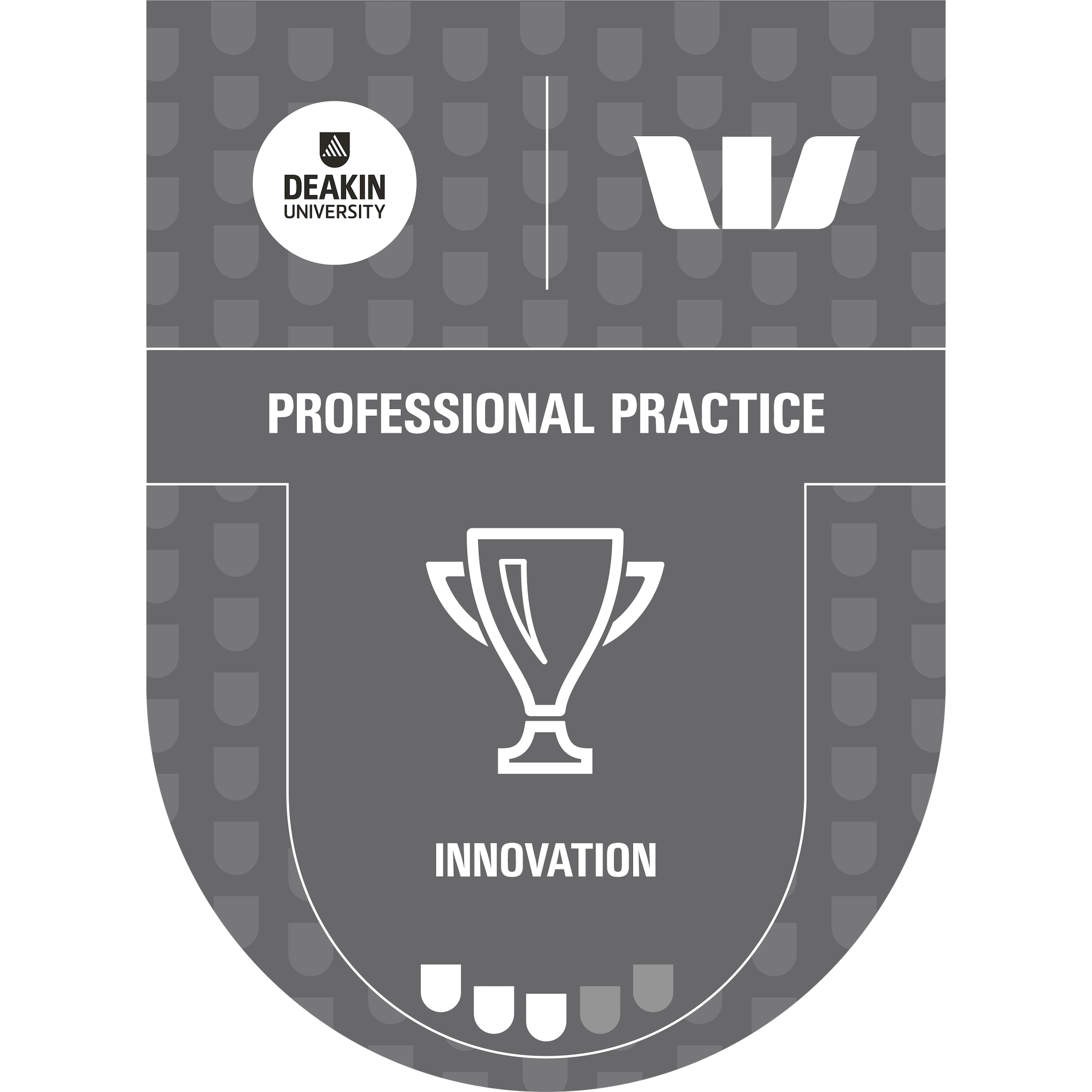 Innovation Practitioner