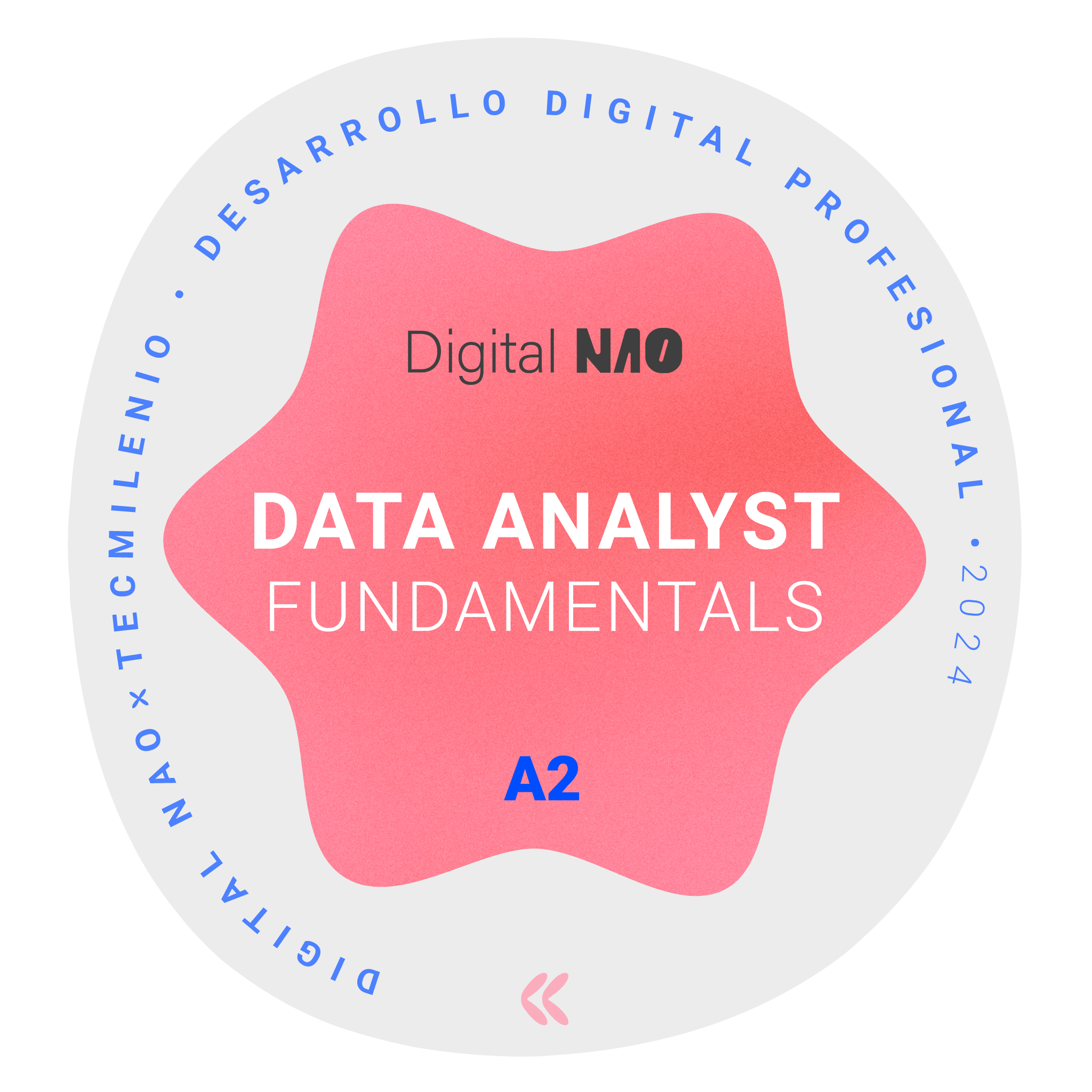 Data Analyst Fundamentals - Credly