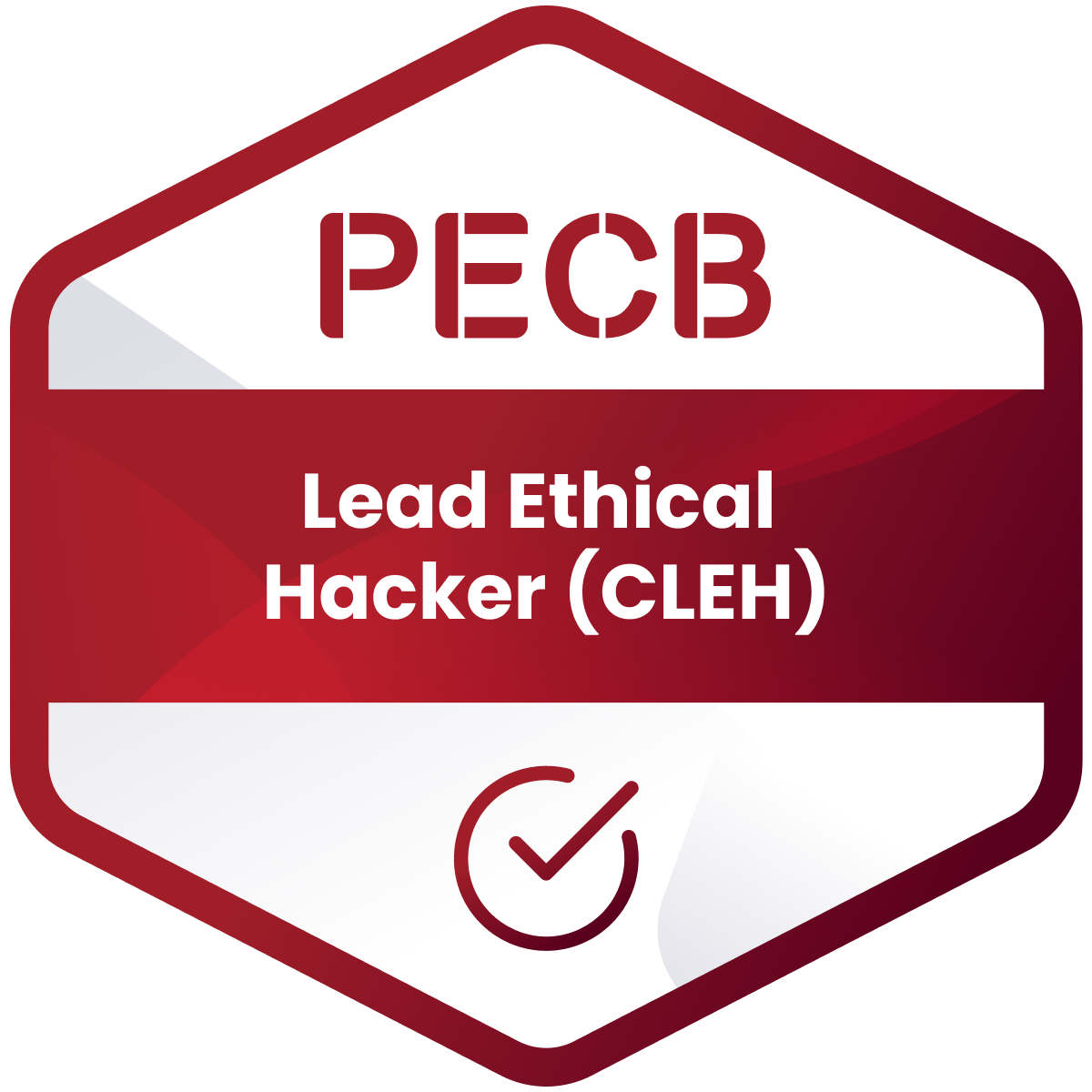 Lead Ethical Hacker