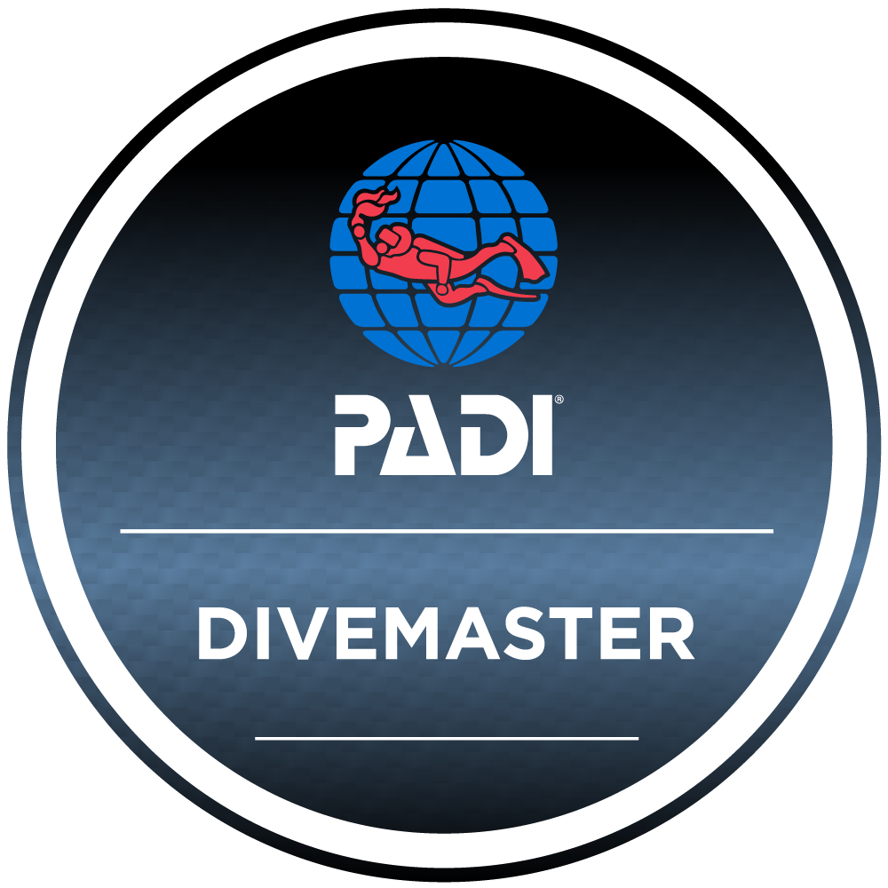 Divemaster (v.4)