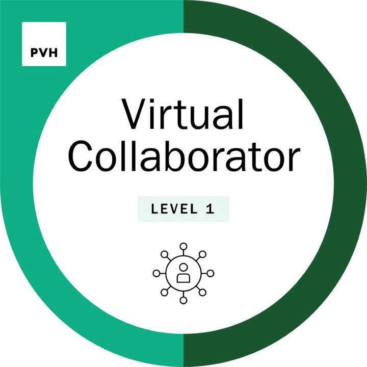 Virtual Collaborator (Level 1)