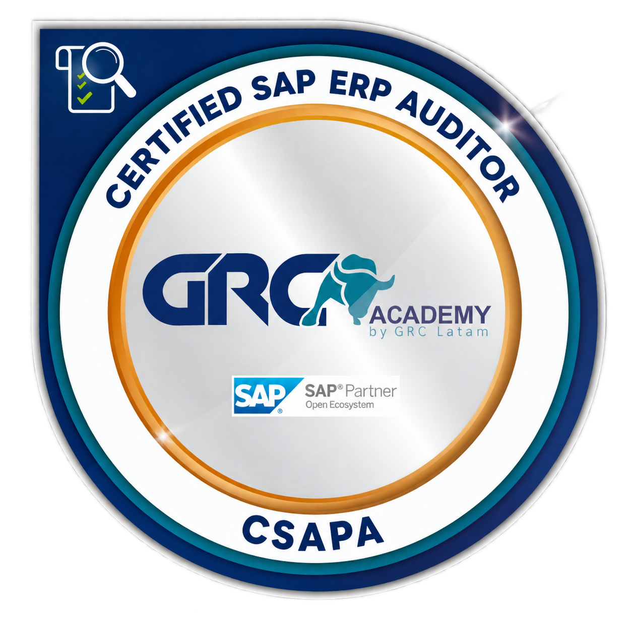 Certified SAP ERP Auditor (CSAPA)