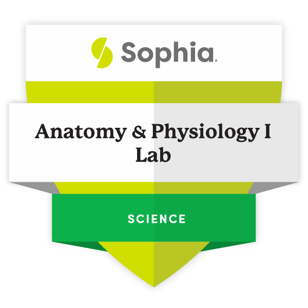 Anatomy & Physiology I Lab (SCIE1051 - 2023)