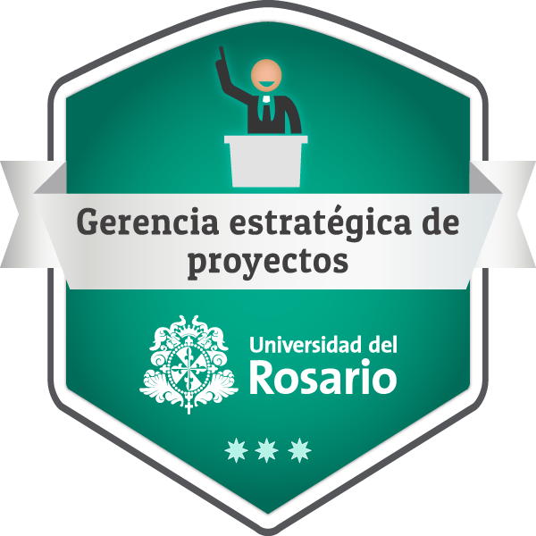07BR DIPLOMADO EN GERENCIA ESTRATEGICA DE PROYECTOS