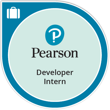 Developer Intern