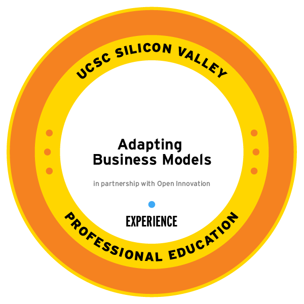 Adapting Business Models
