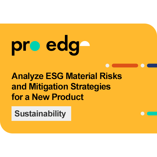 Analyze ESG Material Risks and Mitigation Strategies for a New Product