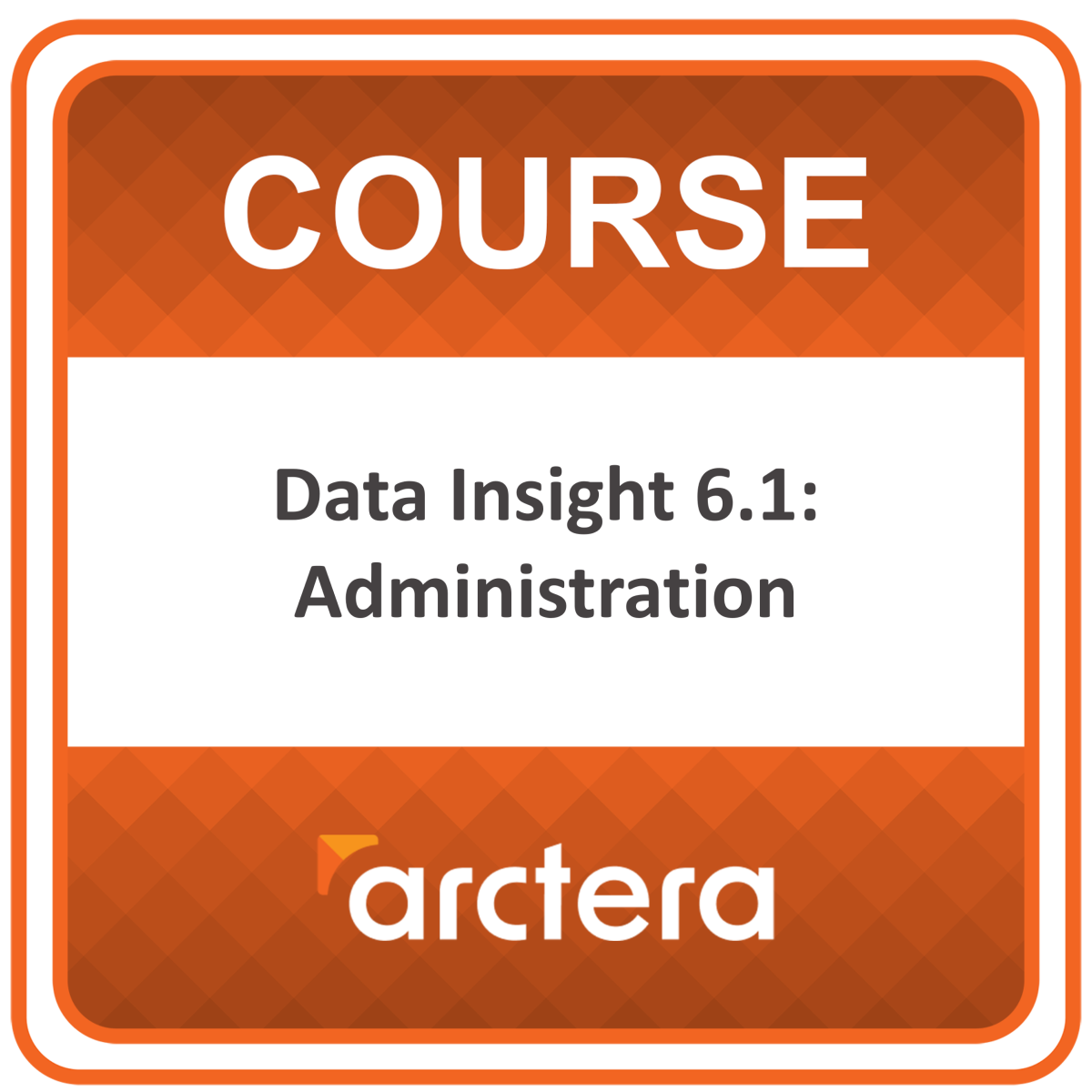 Arctera Data Insight 6.1: Administration