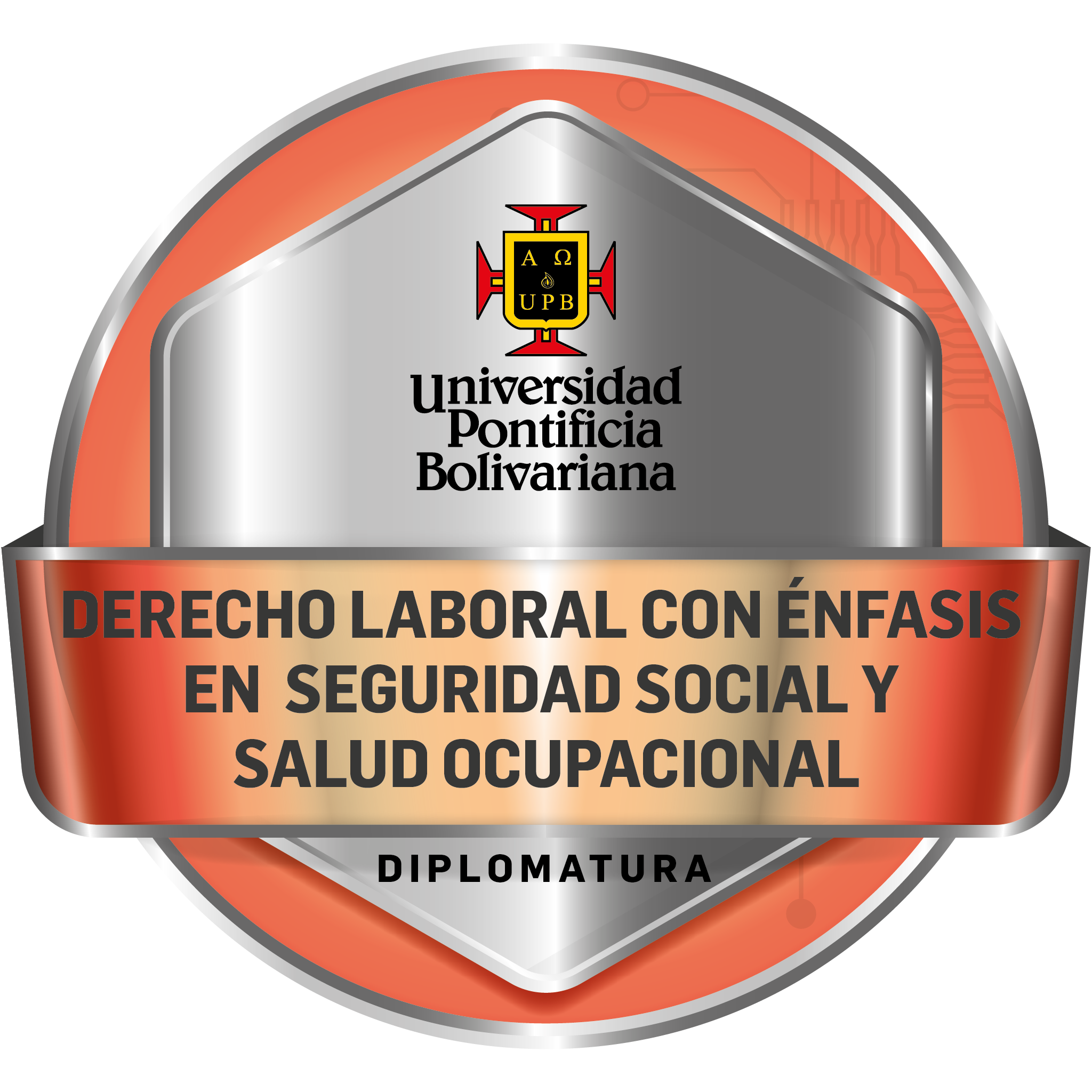 Derecho laboral con énfasis en seguridad social y salud ocupacional