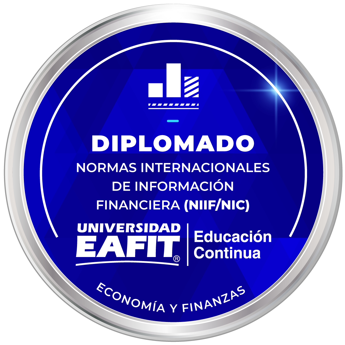 DIPLOMADO: NORMAS INTERNACIONALES DE CONTABILIDAD E INFORMACIÓN FINANCIERA - NIIF/NIC -