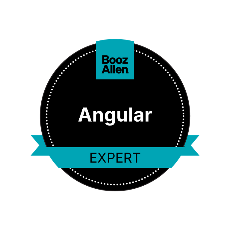 Angular Expert