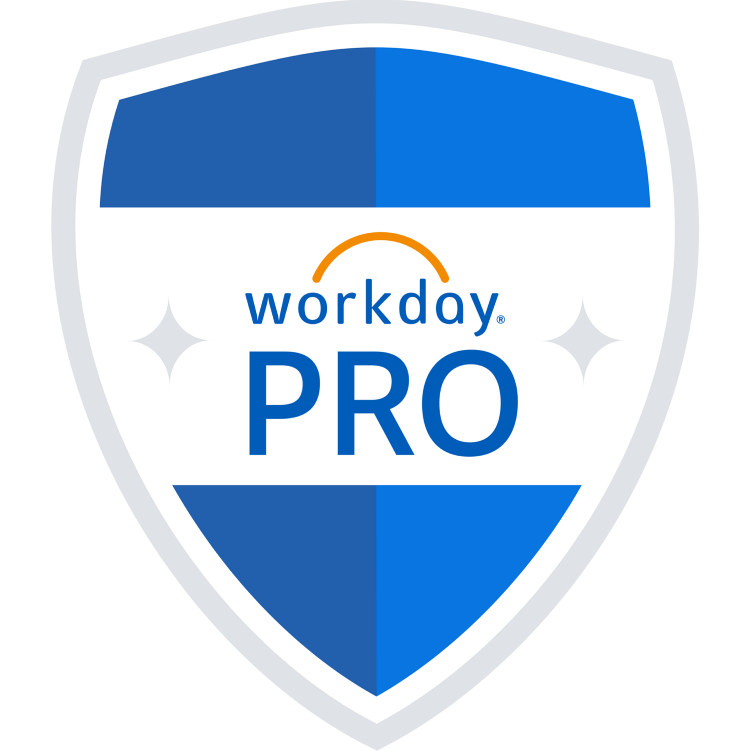 Workday Pro Adaptive Planning Certification