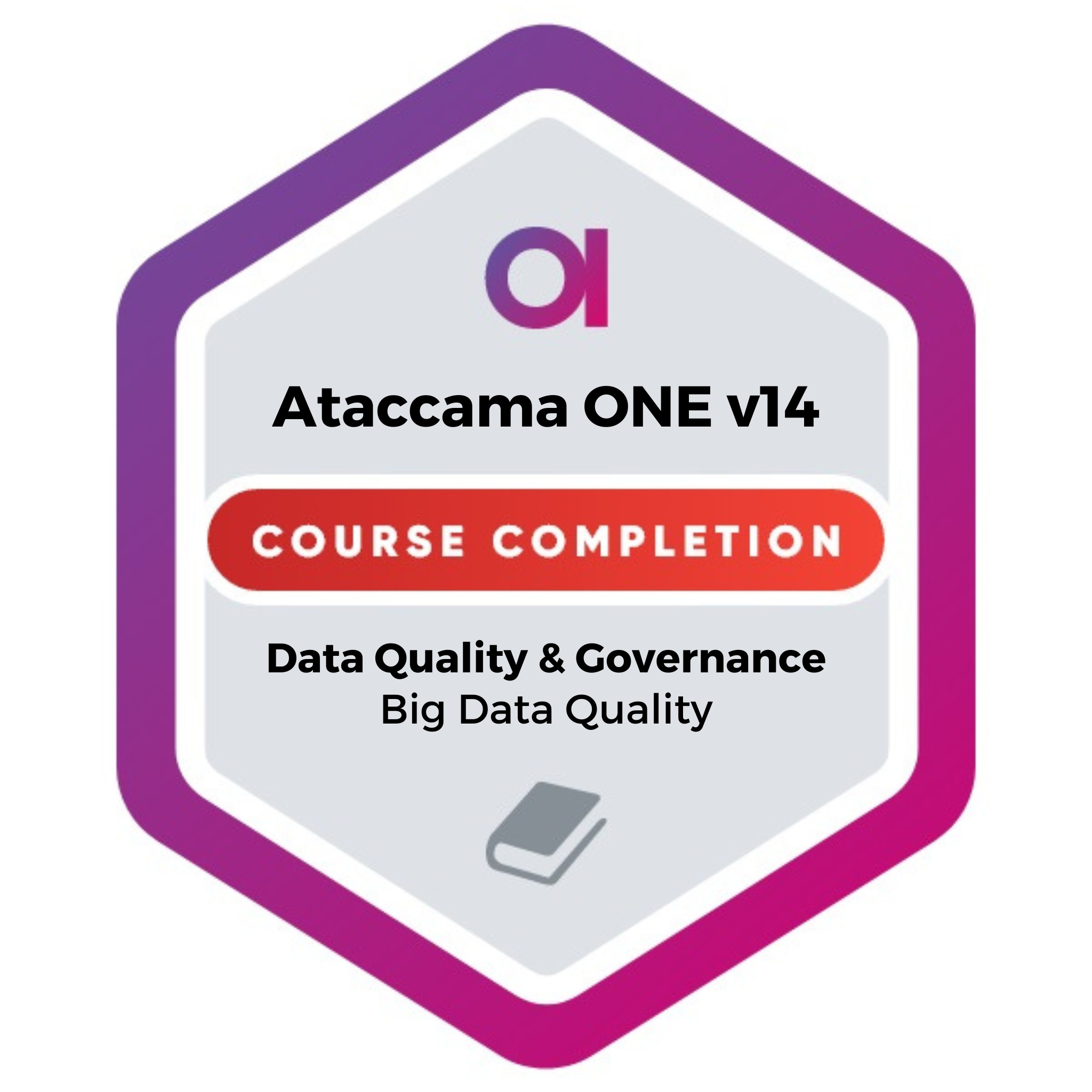 Ataccama ONE v14 | Big Data Quality