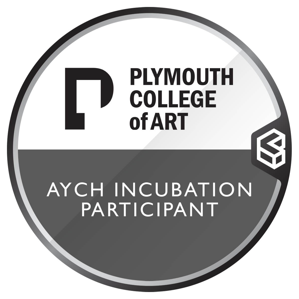 AYCH Incubation - Business programme for creatives and social entrepreneurs