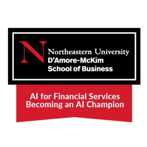 Becoming an AI Champion