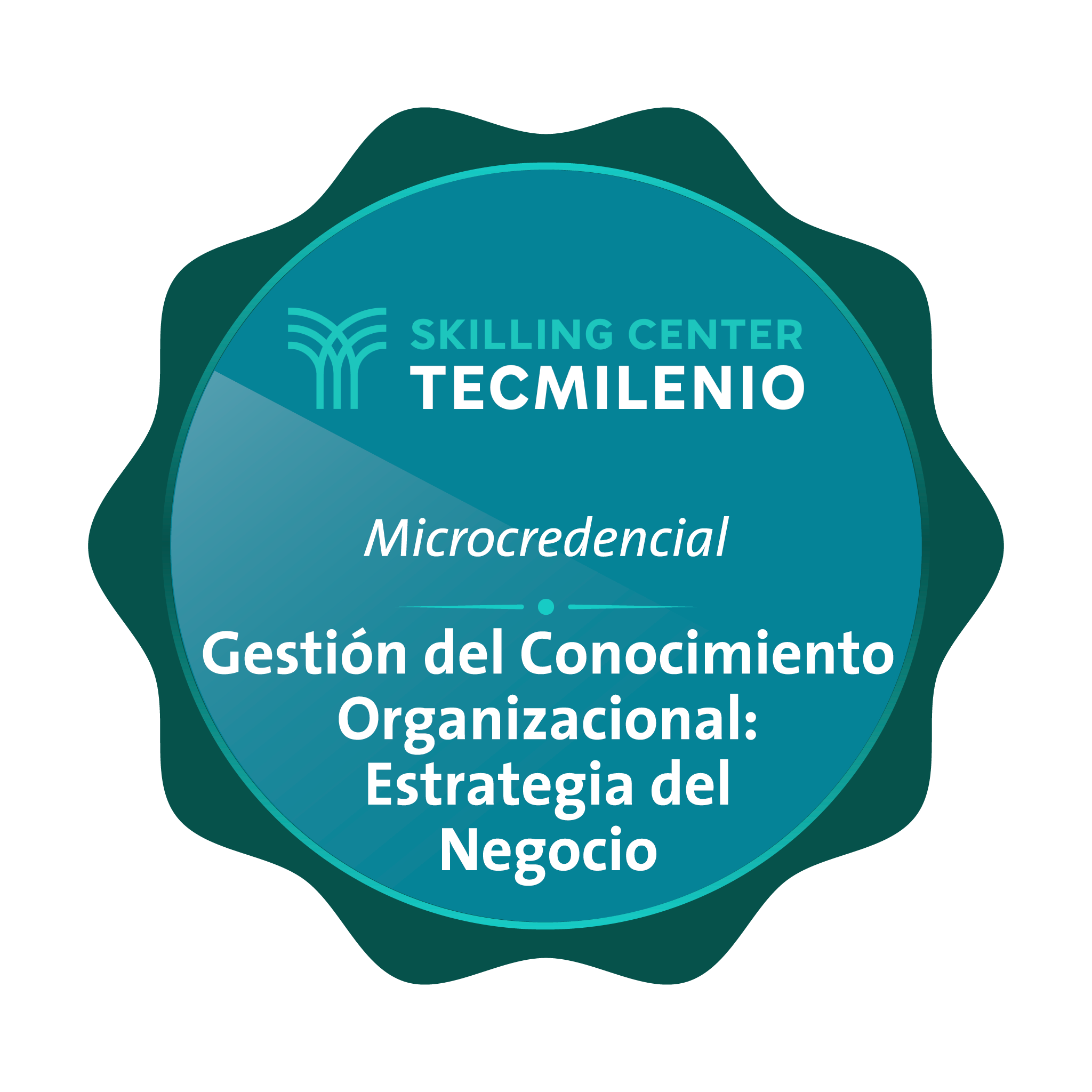 Microcredencial Gestión del conocimiento organizacional: estrategia del negocio