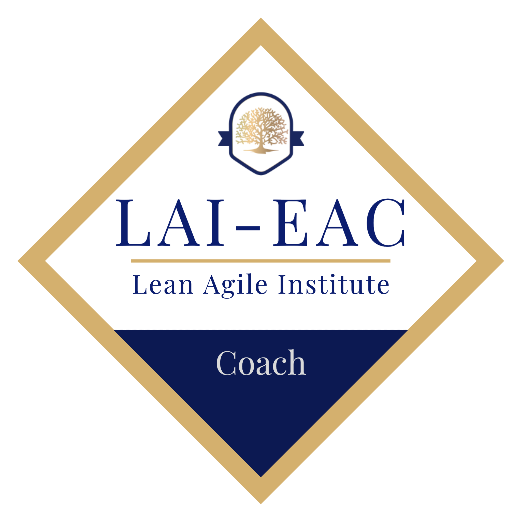 Certified Enterprise Agile Coach