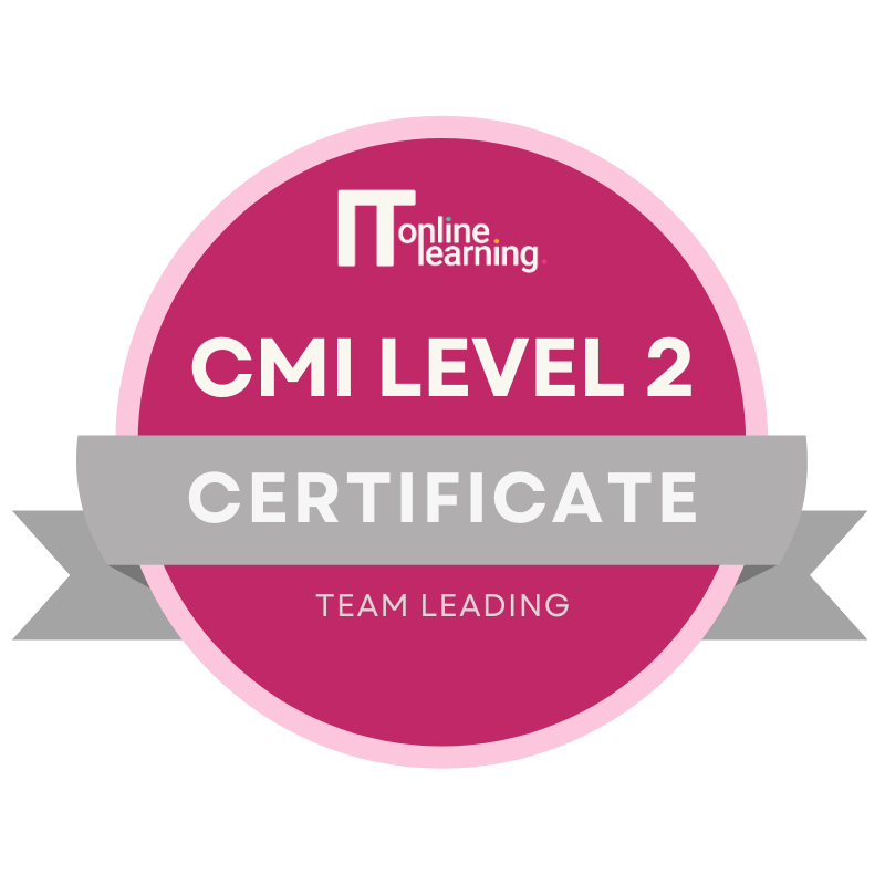 CMI Level 2 Certificate in Team Leading