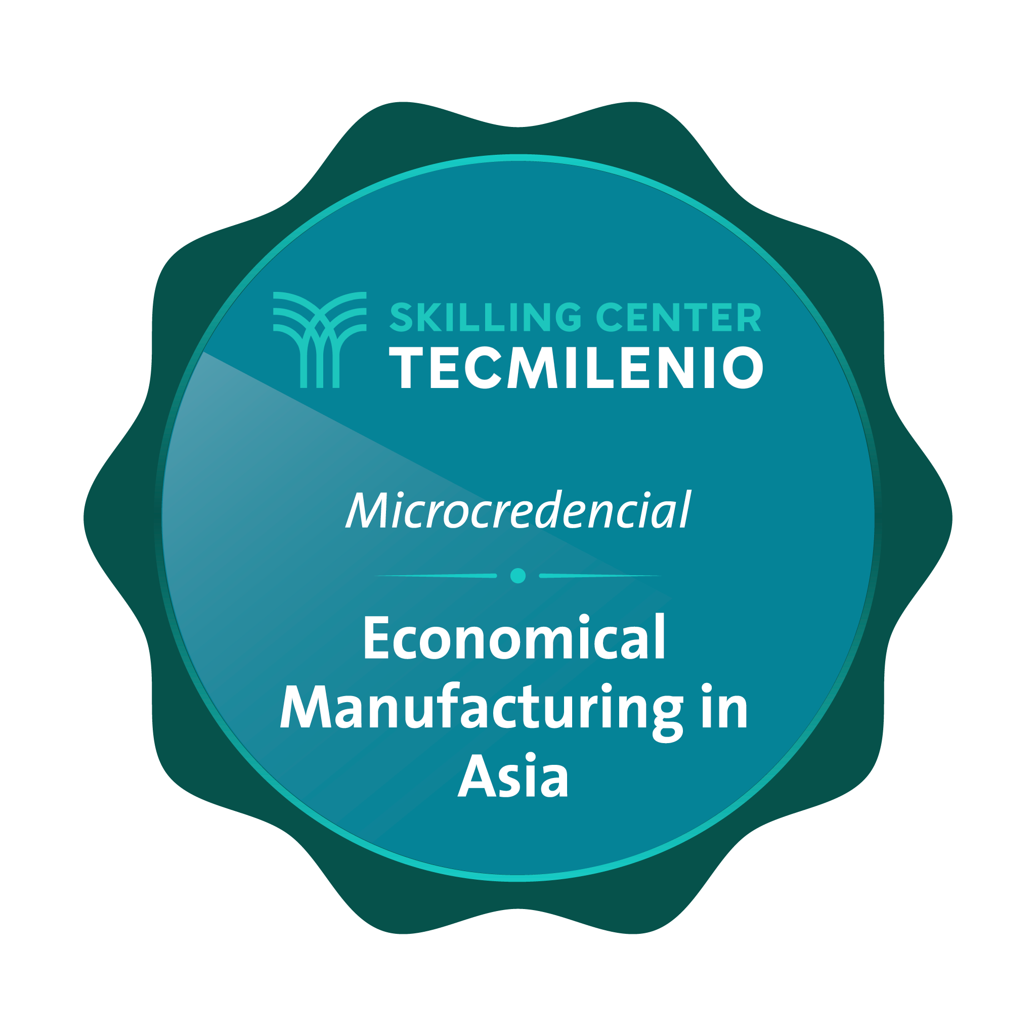 Microcredencial Economical manufacturing in Asia