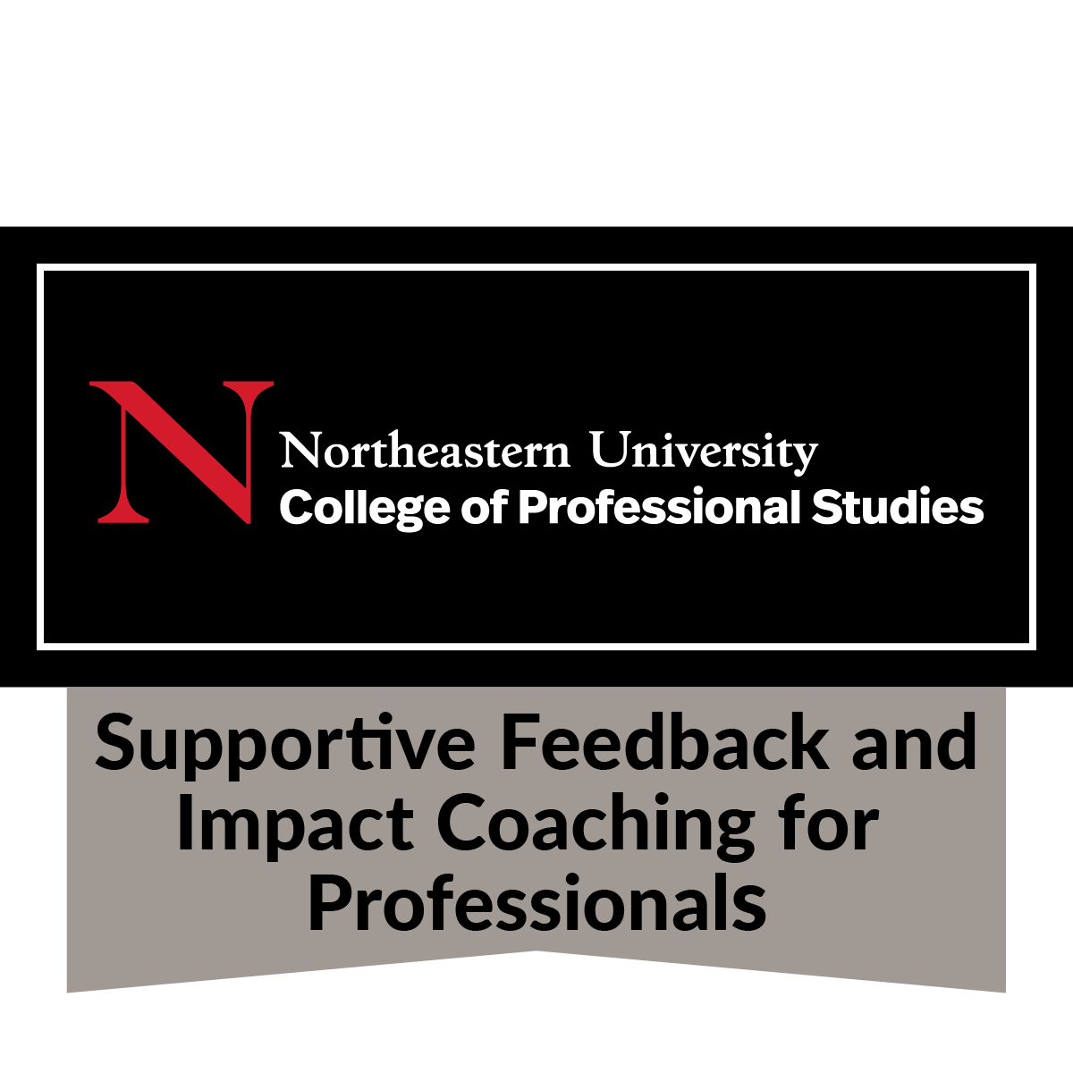 Supportive Feedback and Impact Coaching for Professionals