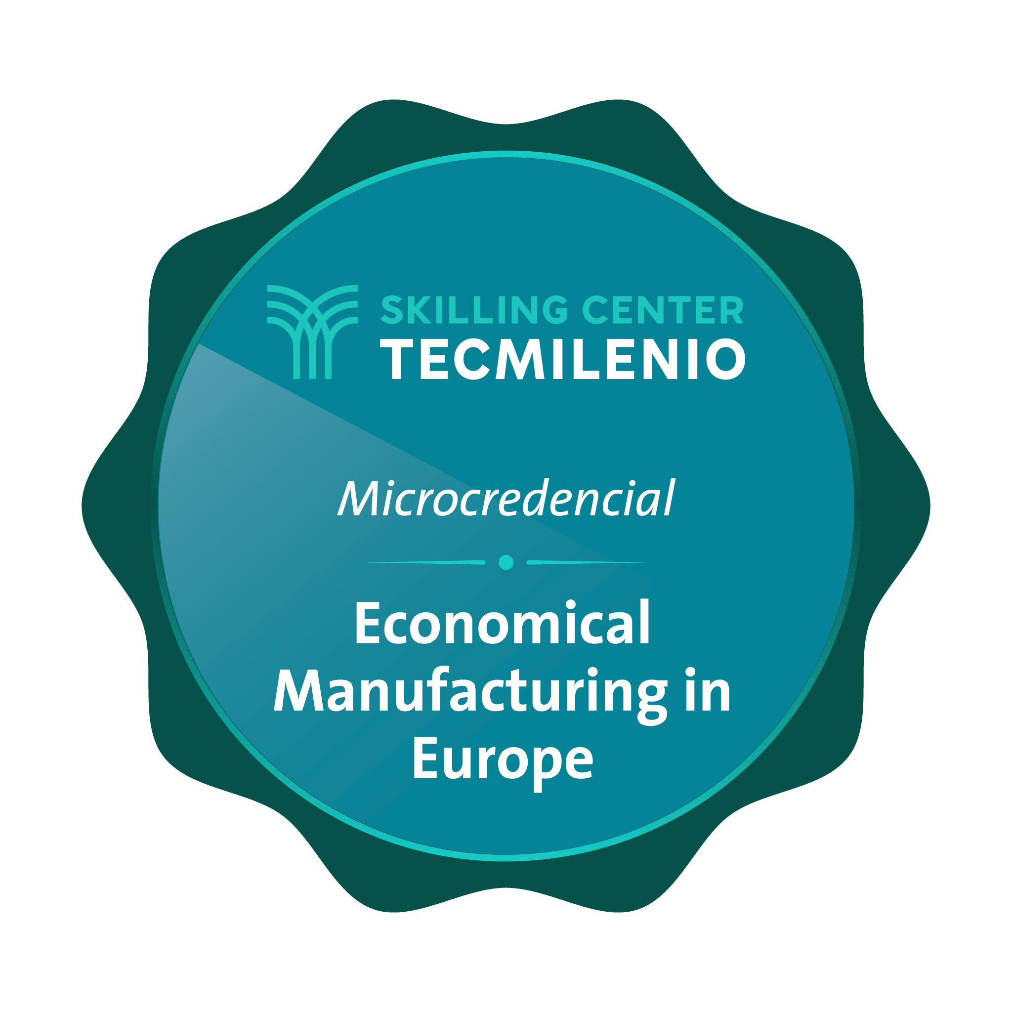 Microcredencial Economical manufacturing in Europe