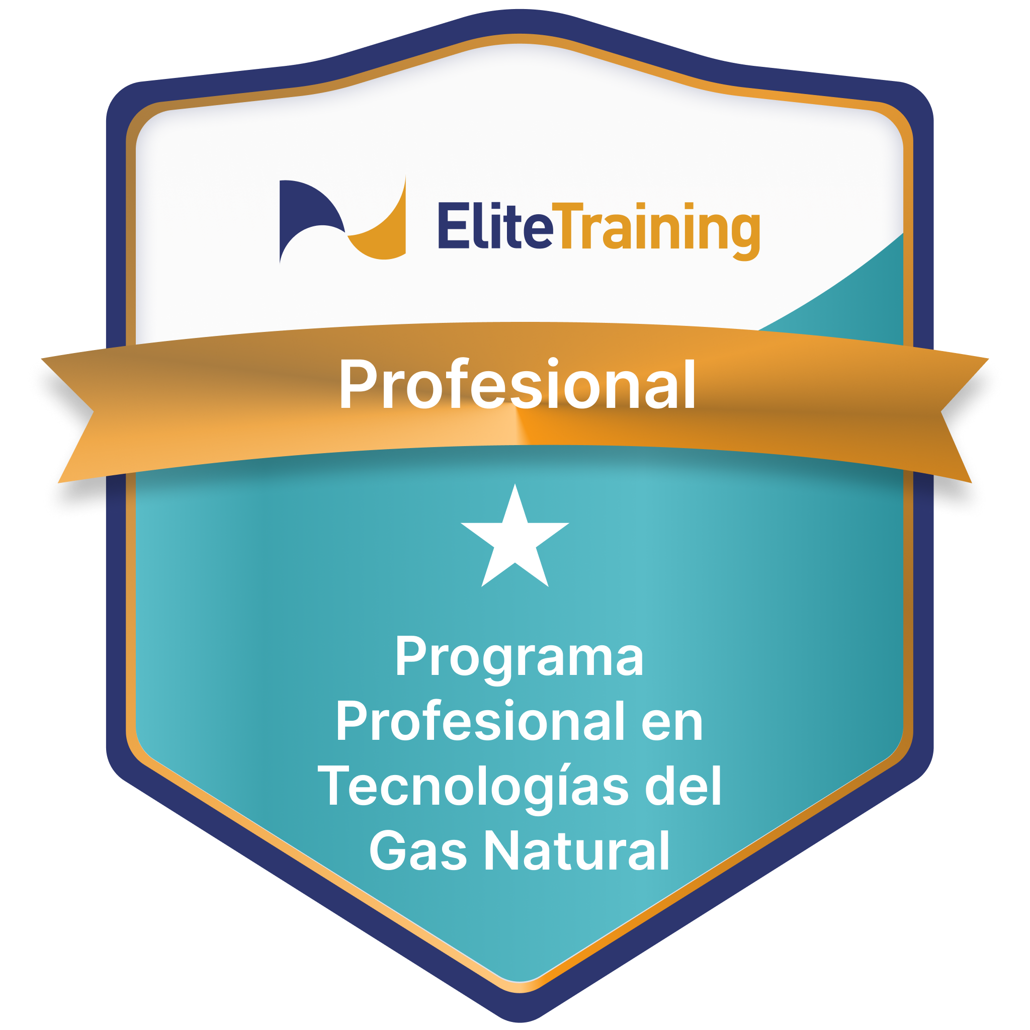 Programa Profesional en Tecnologías del Gas Natural.