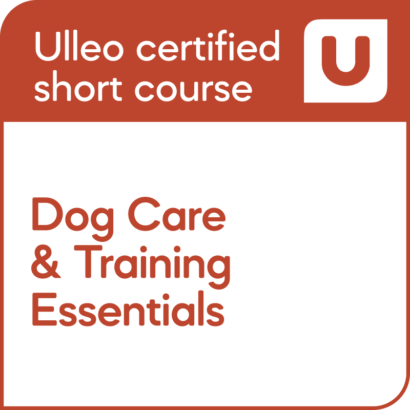 Dog Care & Training Essentials - Credly