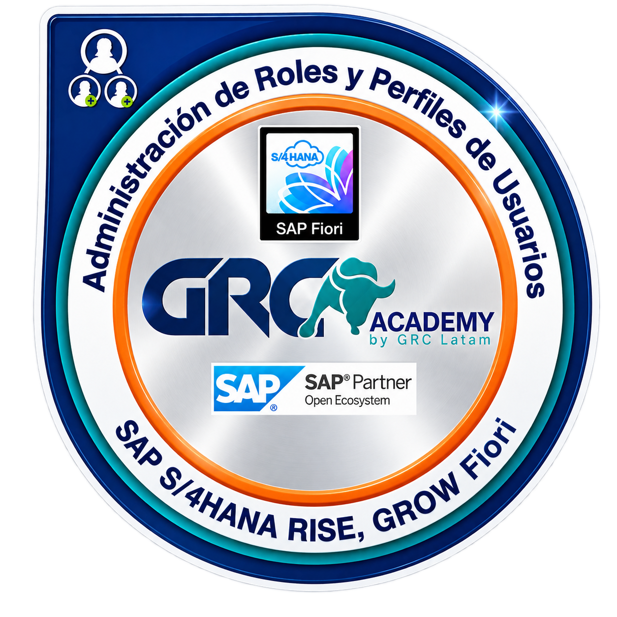 Administración de Roles y Perfiles de Usuarios SAP S/4HANA Fiori