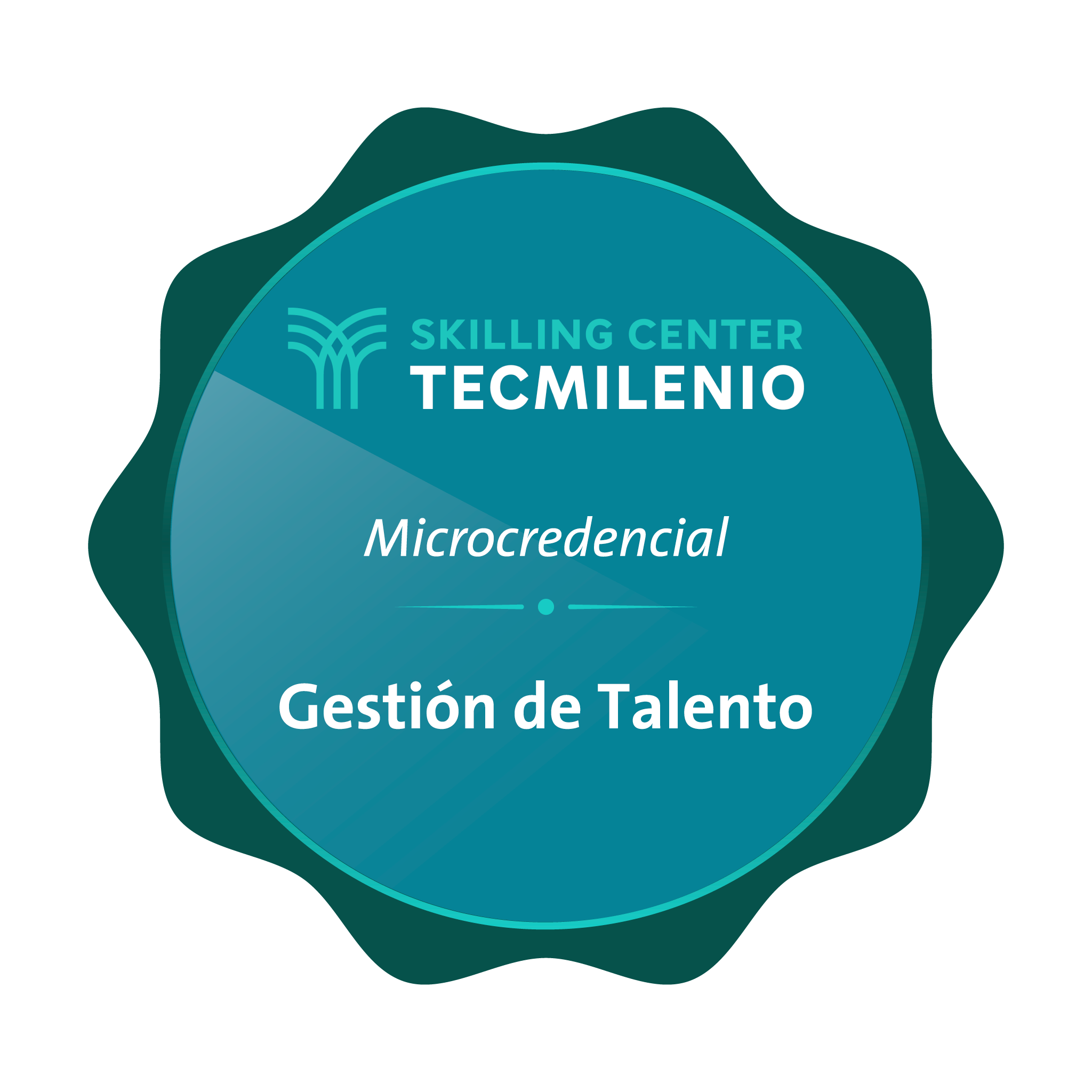 Microcredencial Gestión de talento