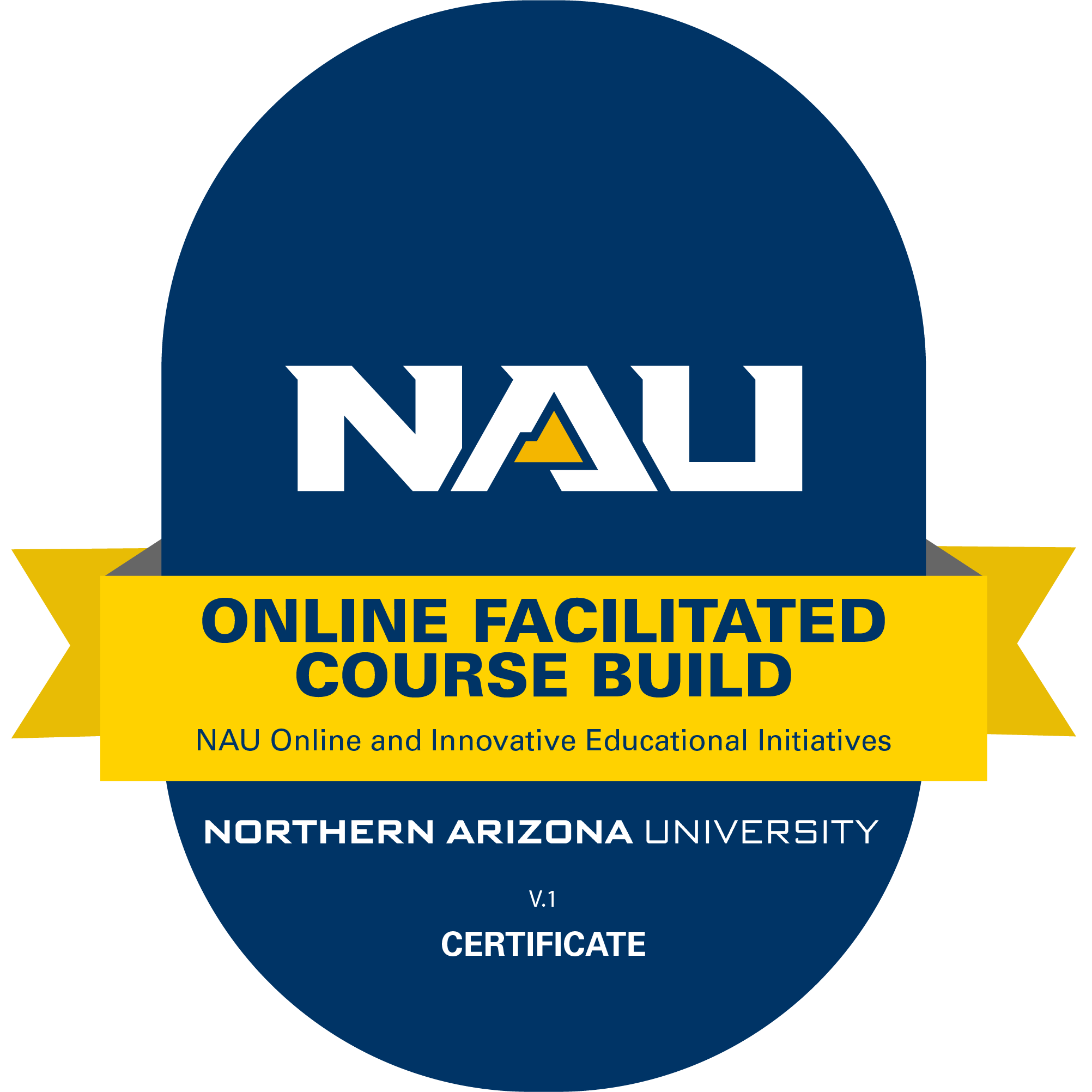 Online Facilitated Course Build