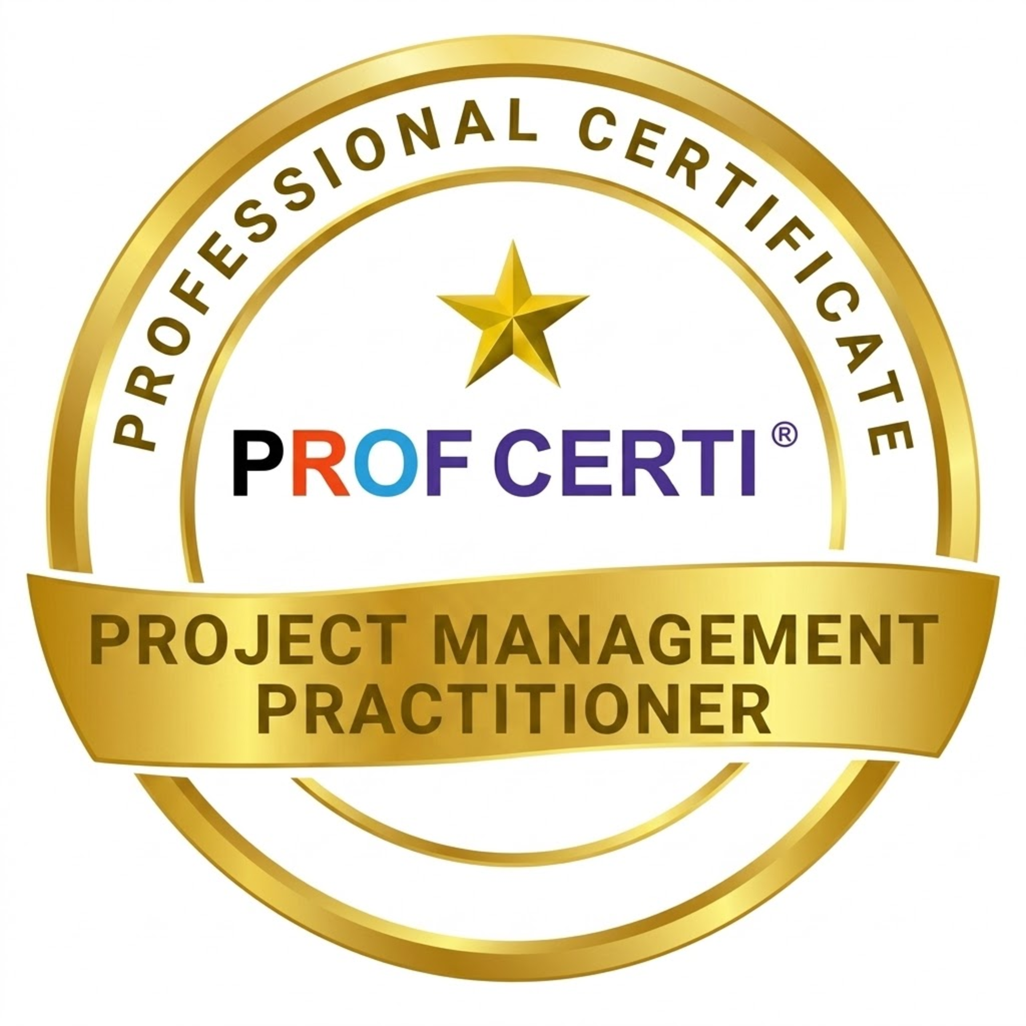 Project Management Practitioner