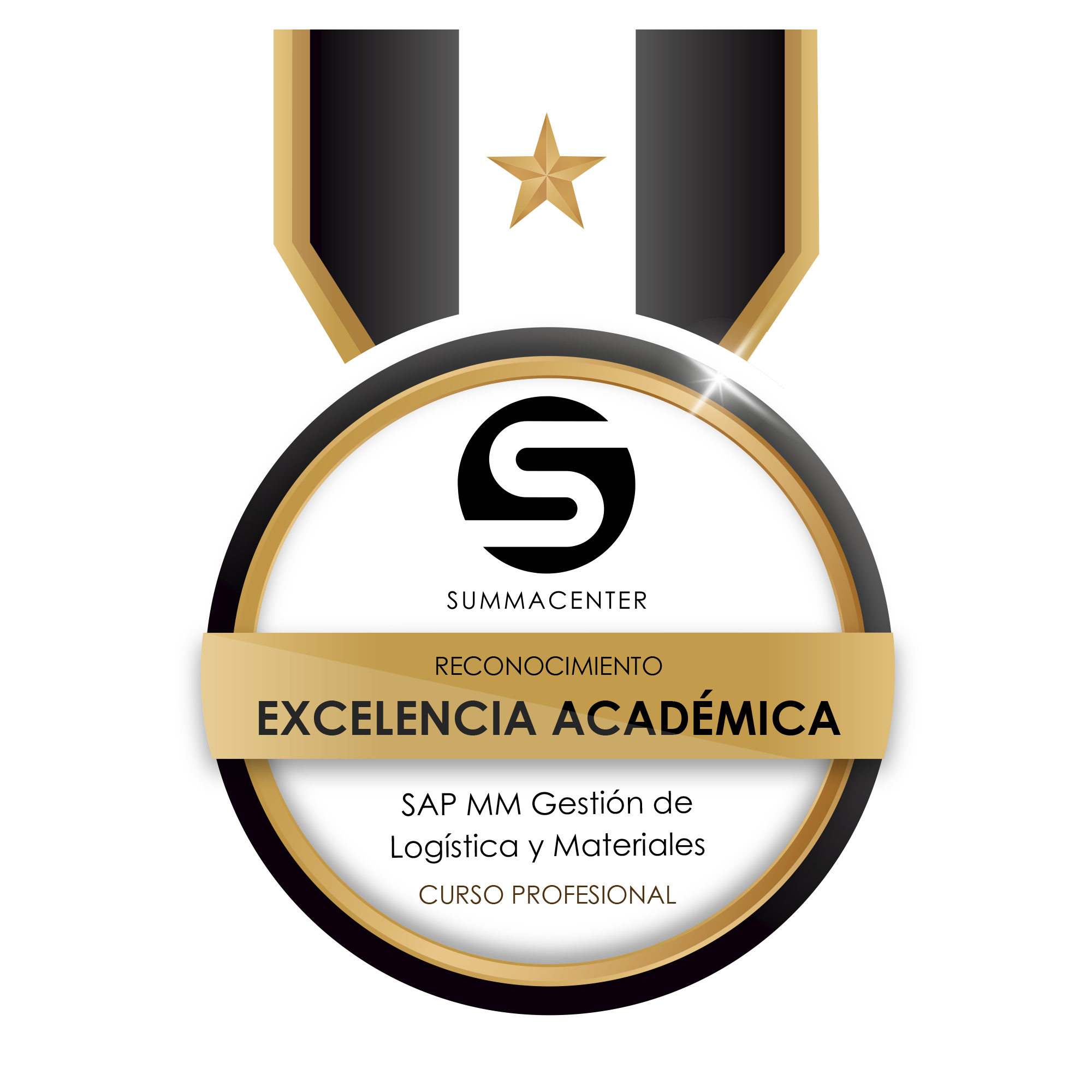 Excelencia Académica SAP MM Gestión de Logística y Materiales